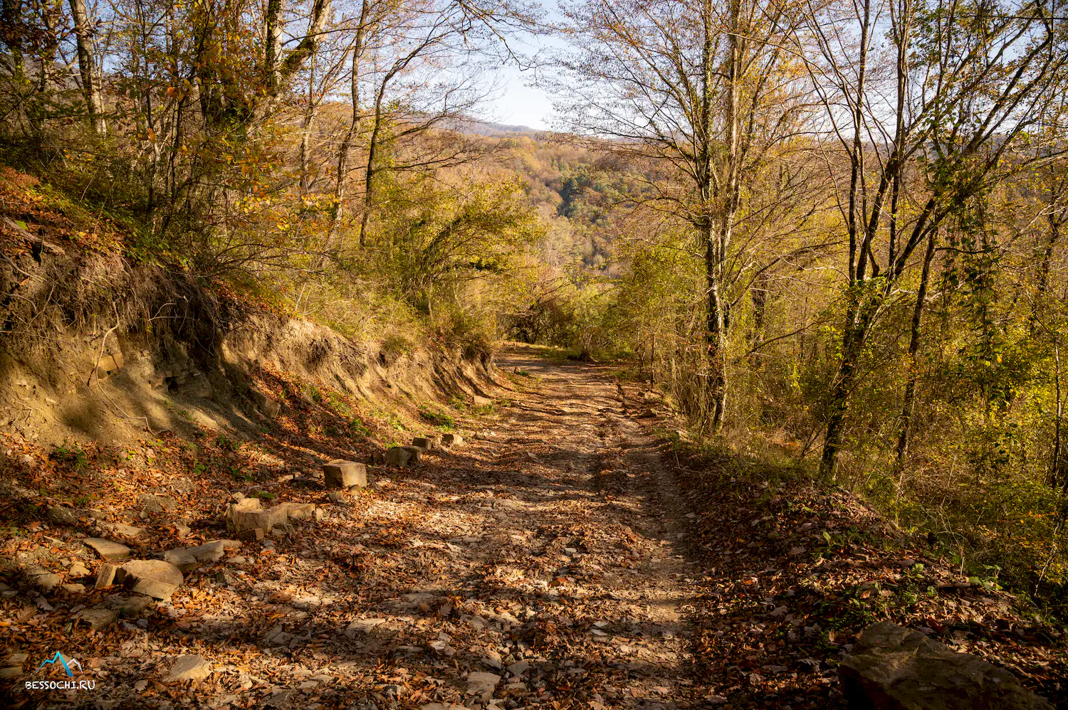 Первый приток Кутарки