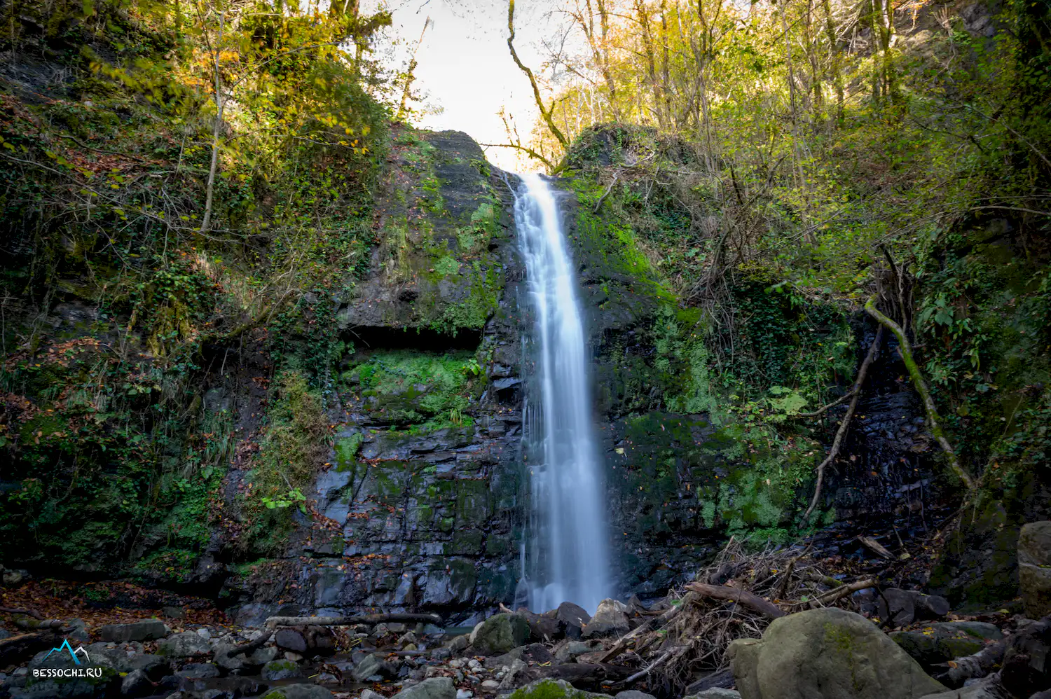 Первый приток Кутарки