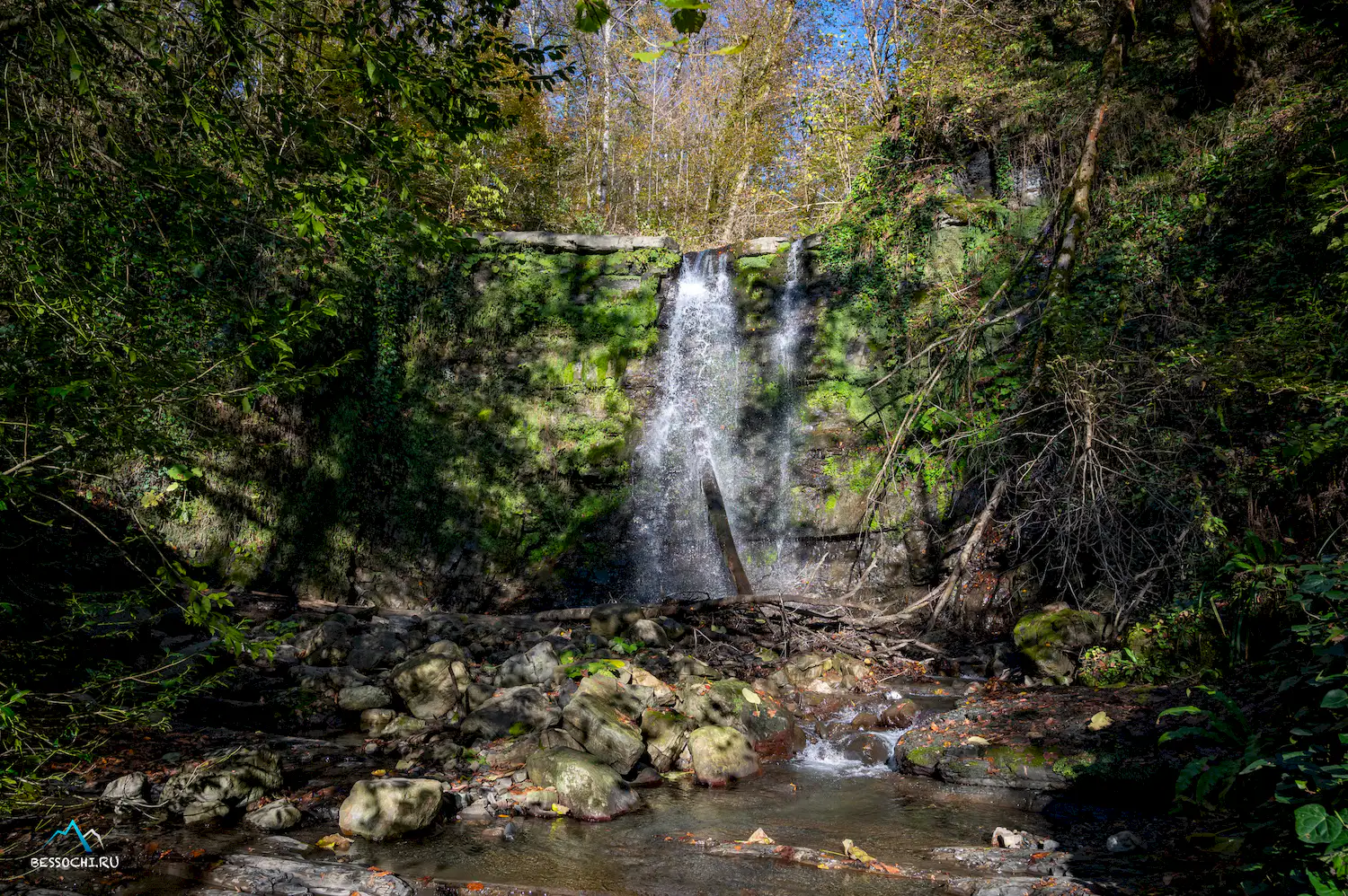 Первый приток Кутарки