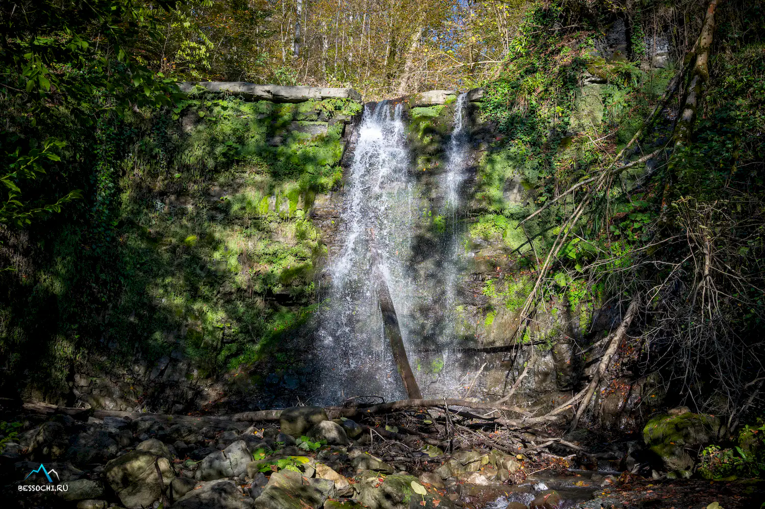 Первый приток Кутарки