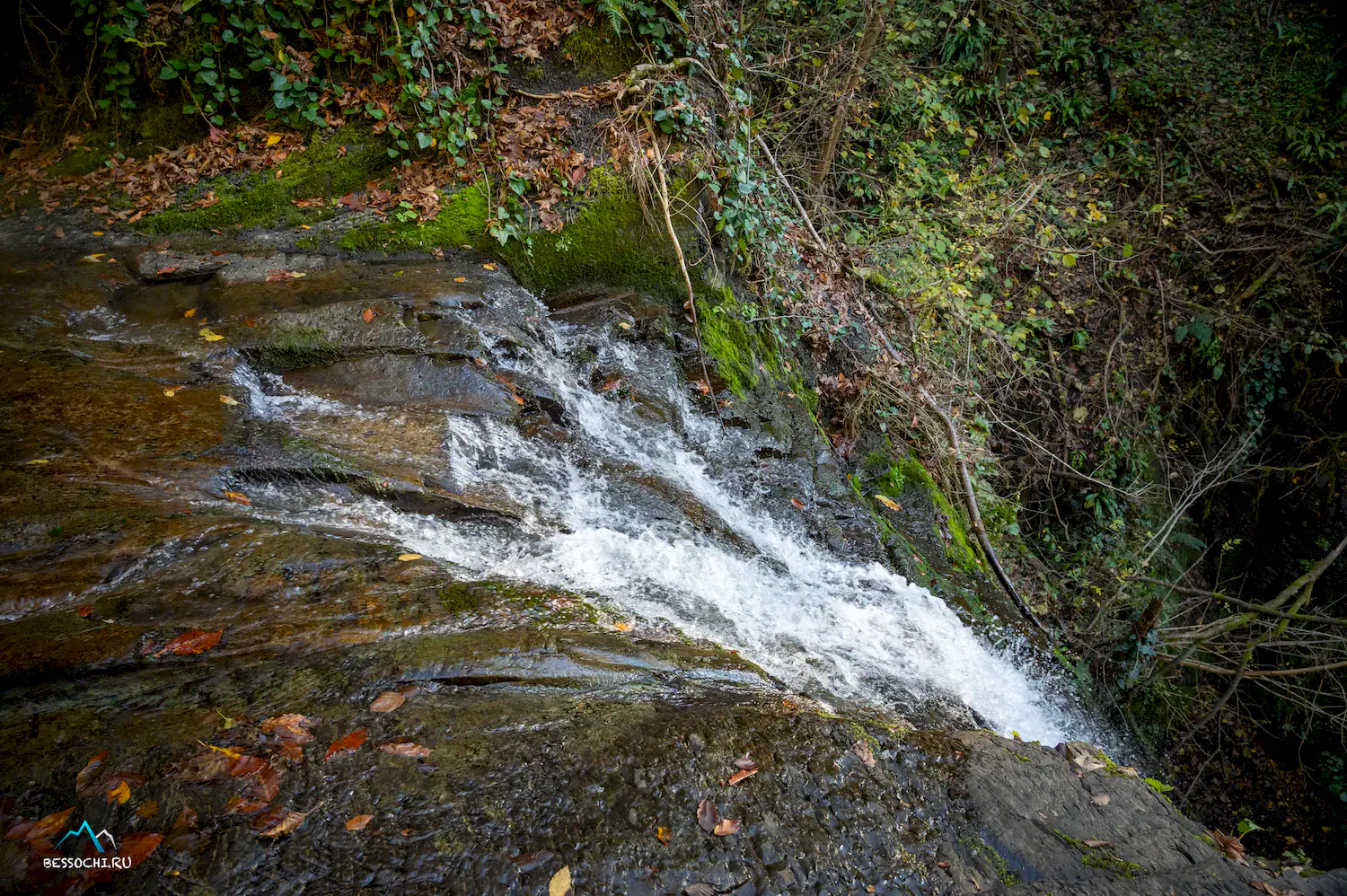 Первый приток Кутарки