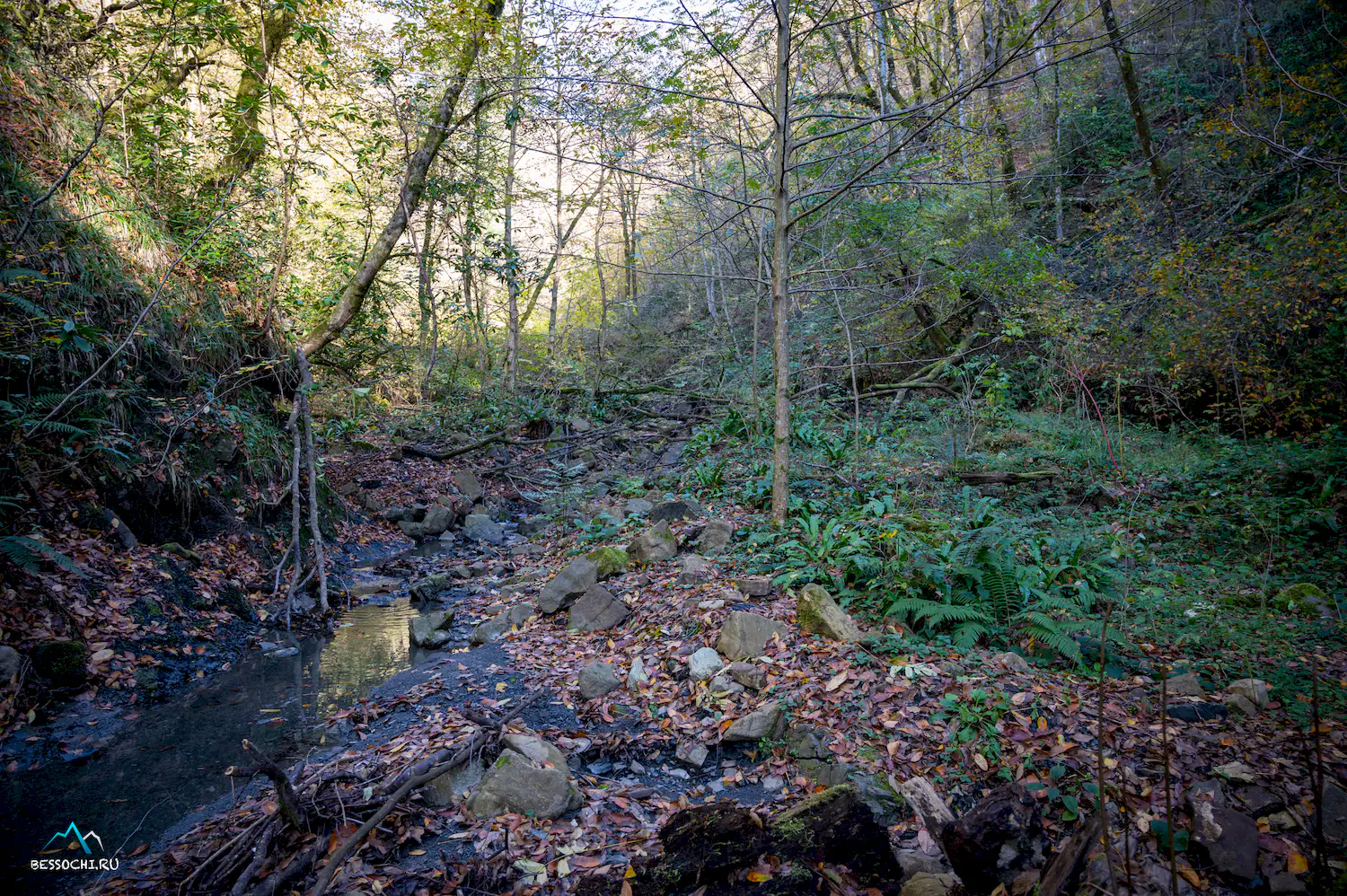 Первый приток Кутарки