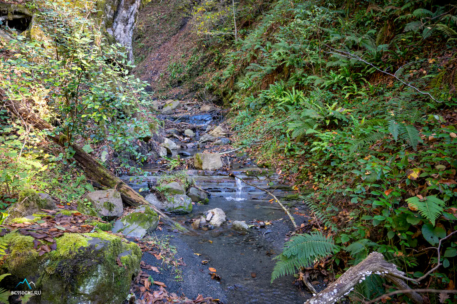 Первый приток Кутарки