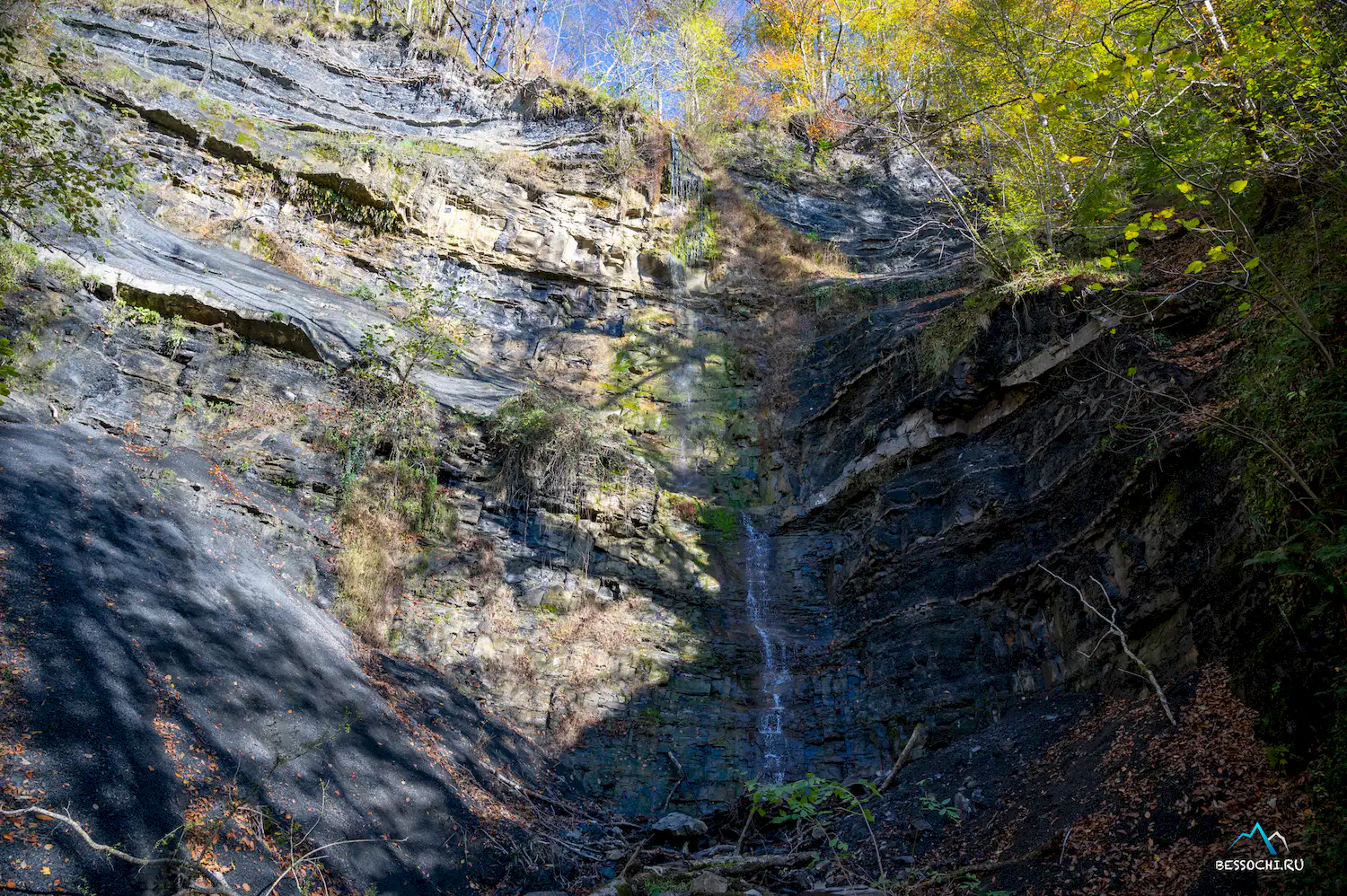 Первый приток Кутарки
