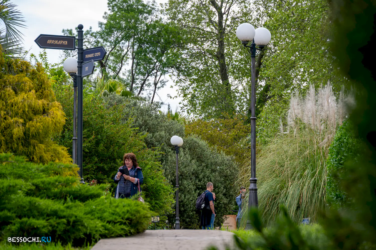 Южные Культуры