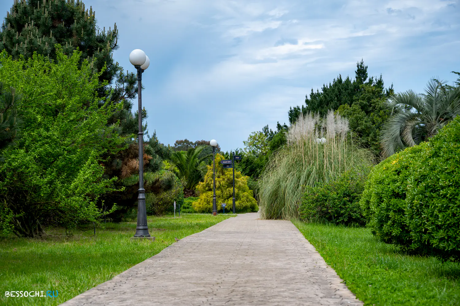 Южные Культуры