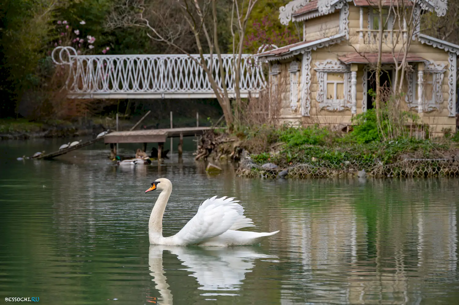 Южные Культуры