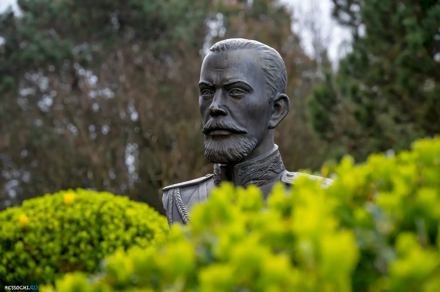 Южные культуры