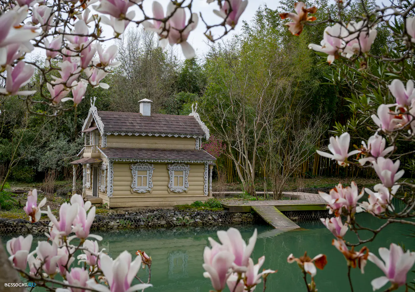 Южные культуры