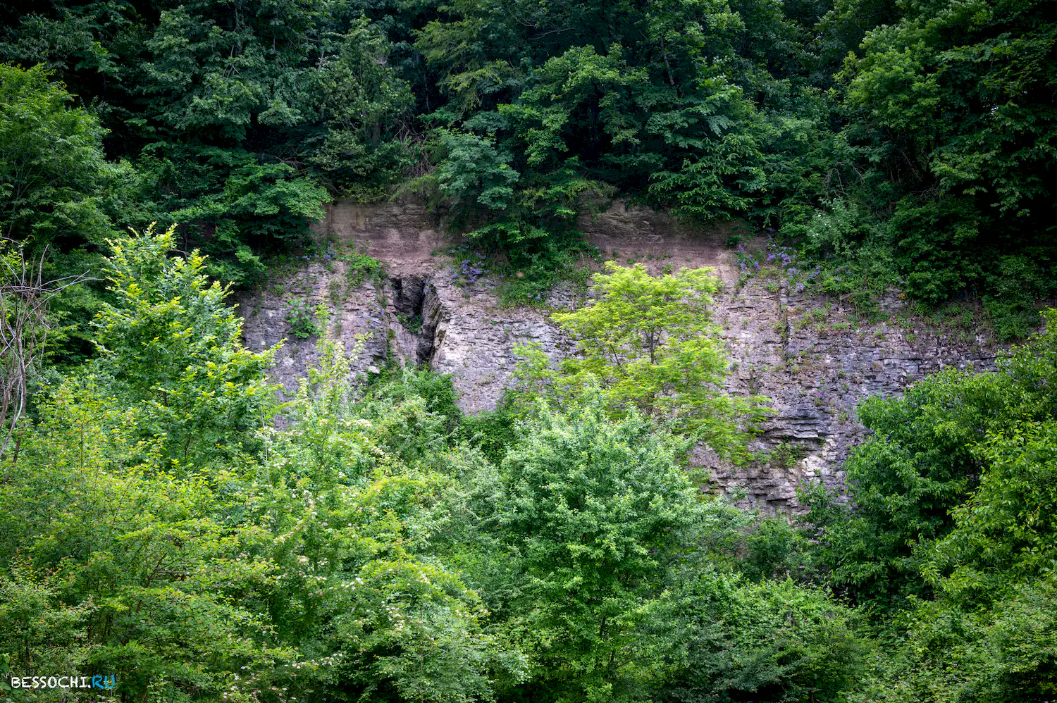 Хостинский карьер