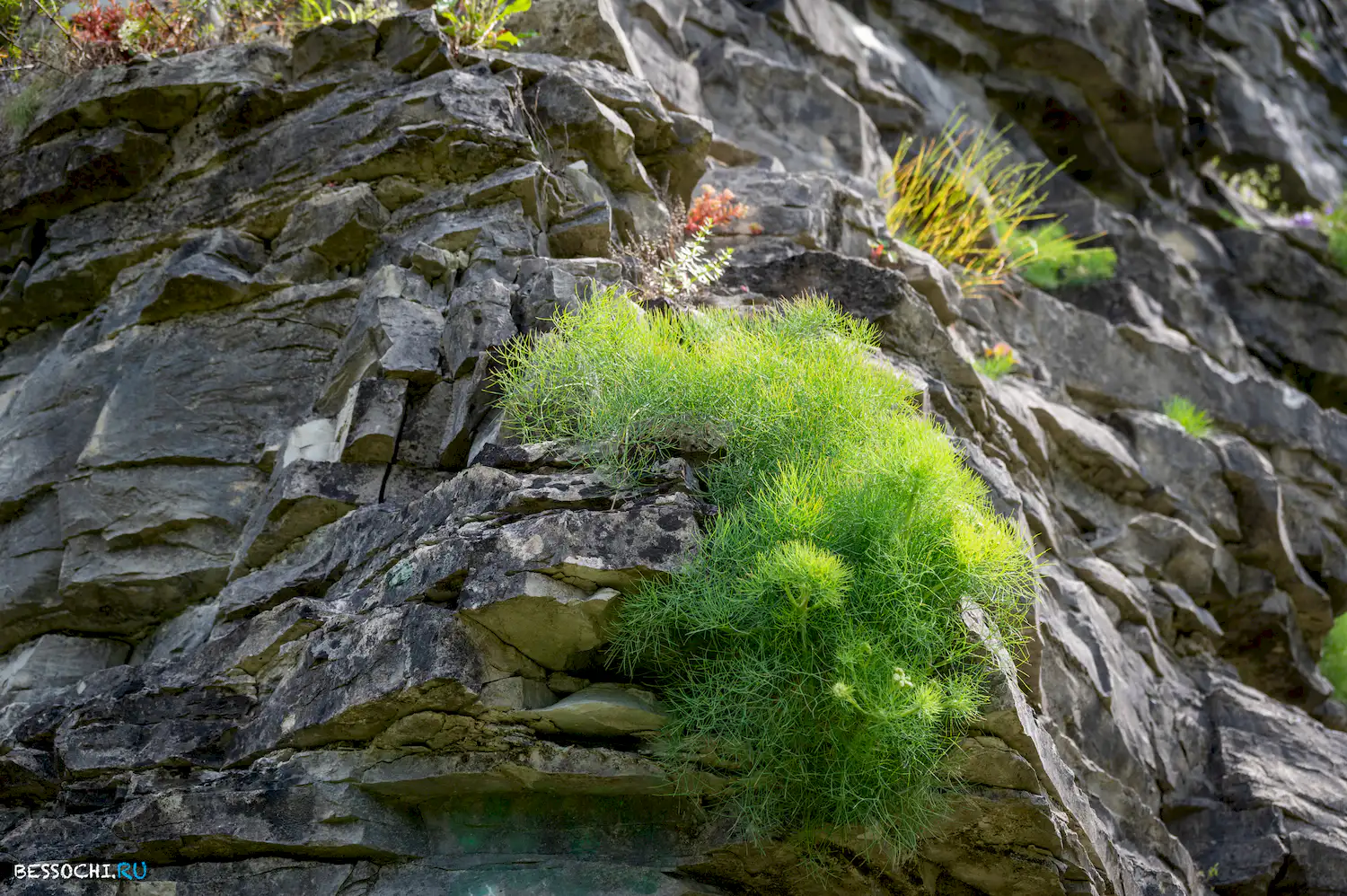 Хостинский карьер