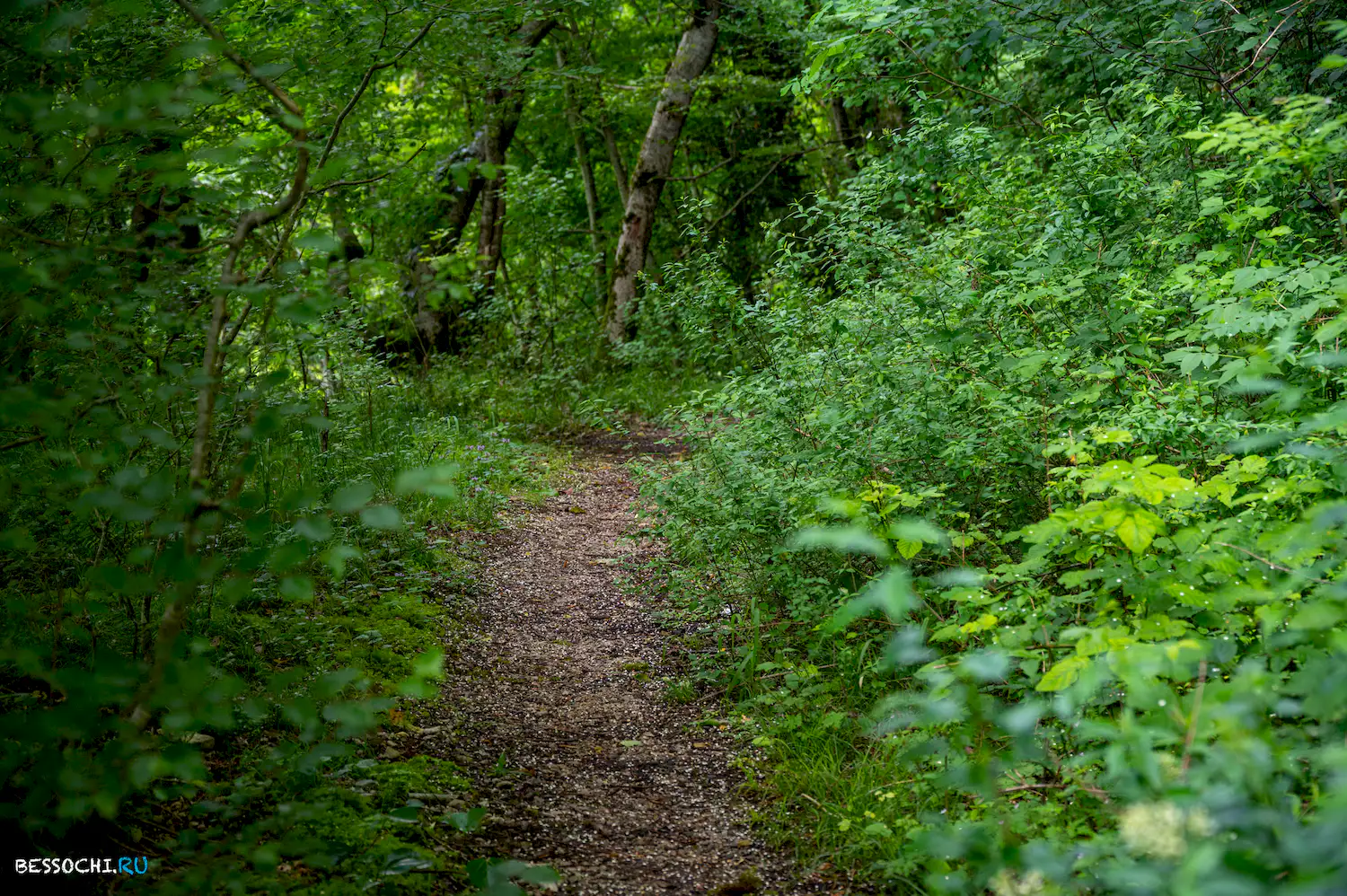 Хостинский карьер