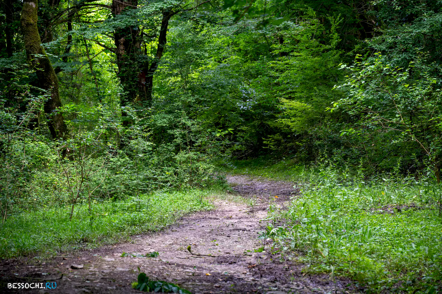 Хостинский карьер