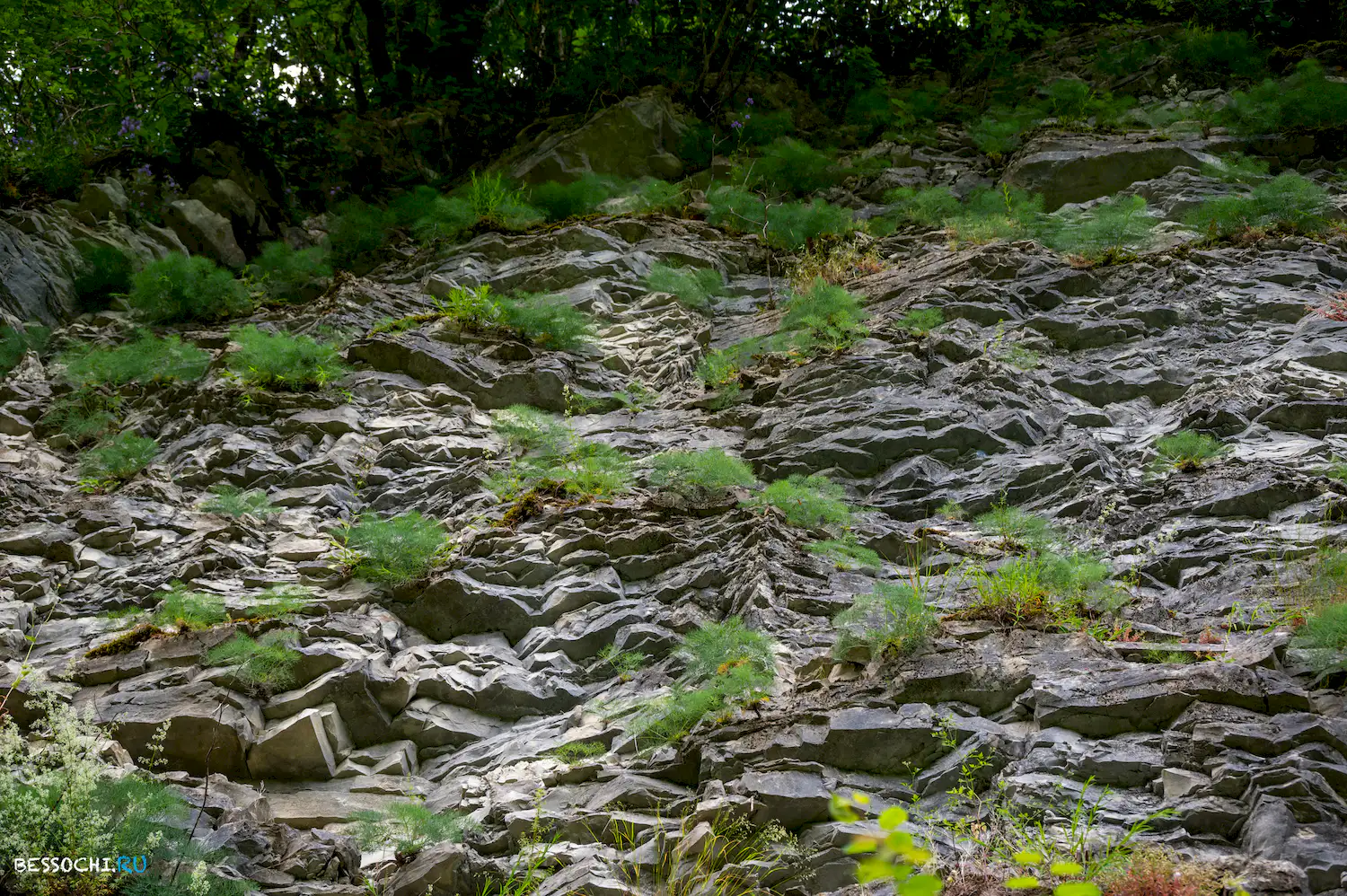 Хостинский карьер