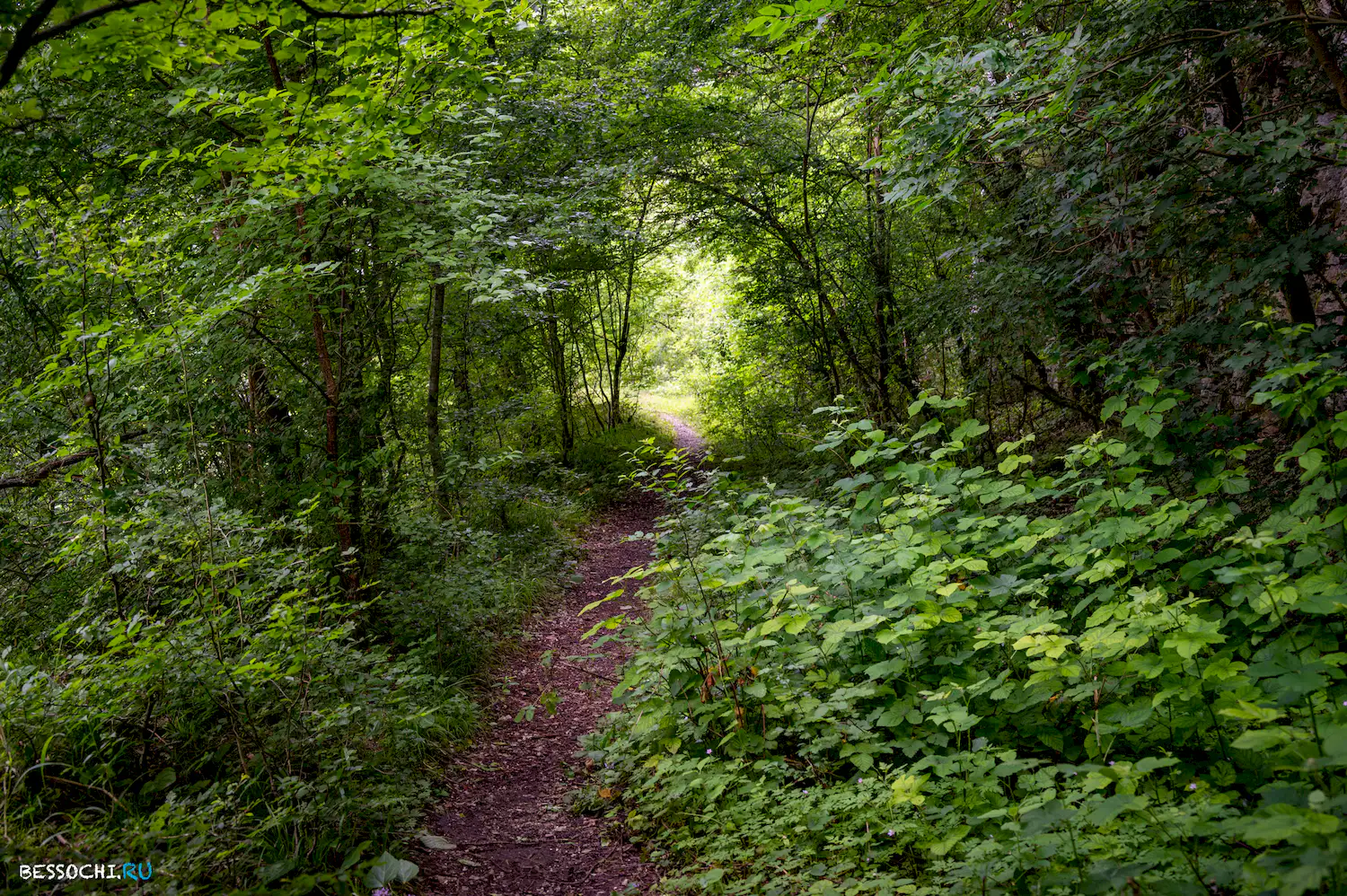 Хостинский карьер