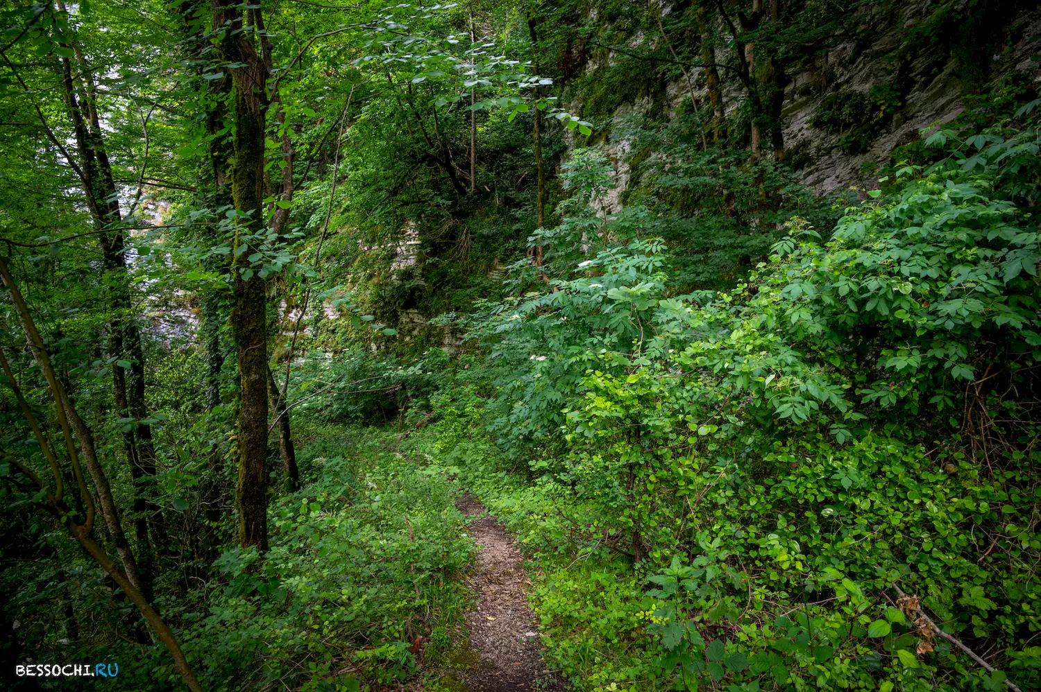 Хостинский карьер