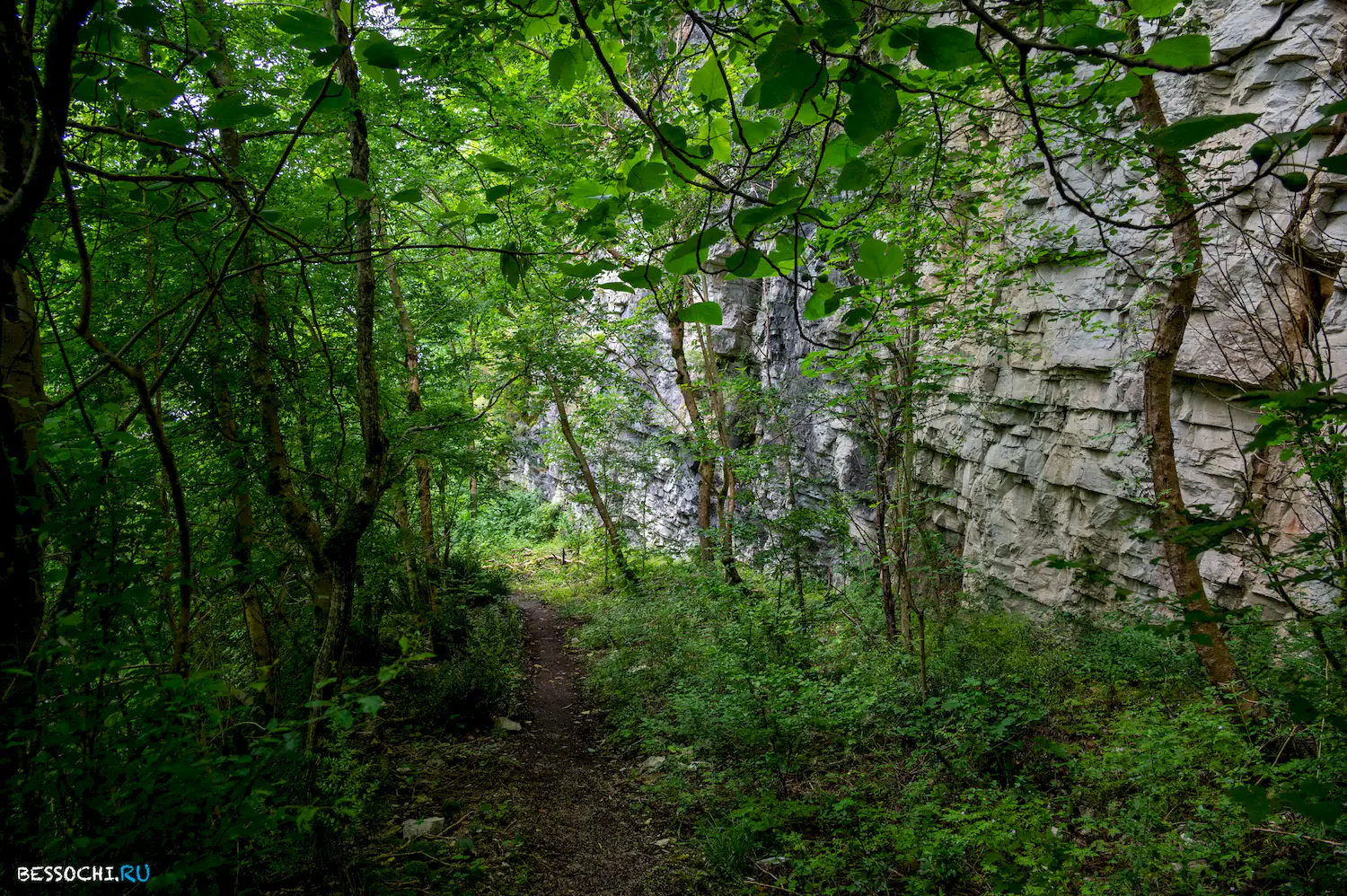 Хостинский карьер