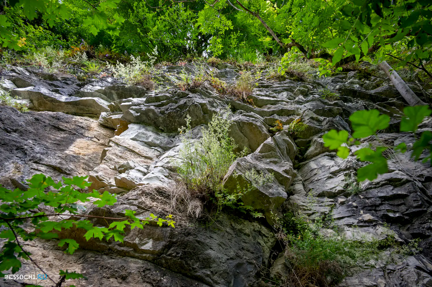 Хостинский карьер