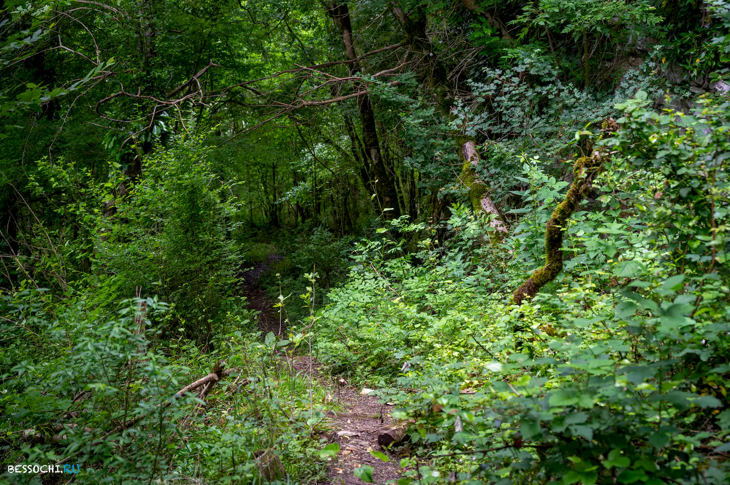 Хостинский карьер