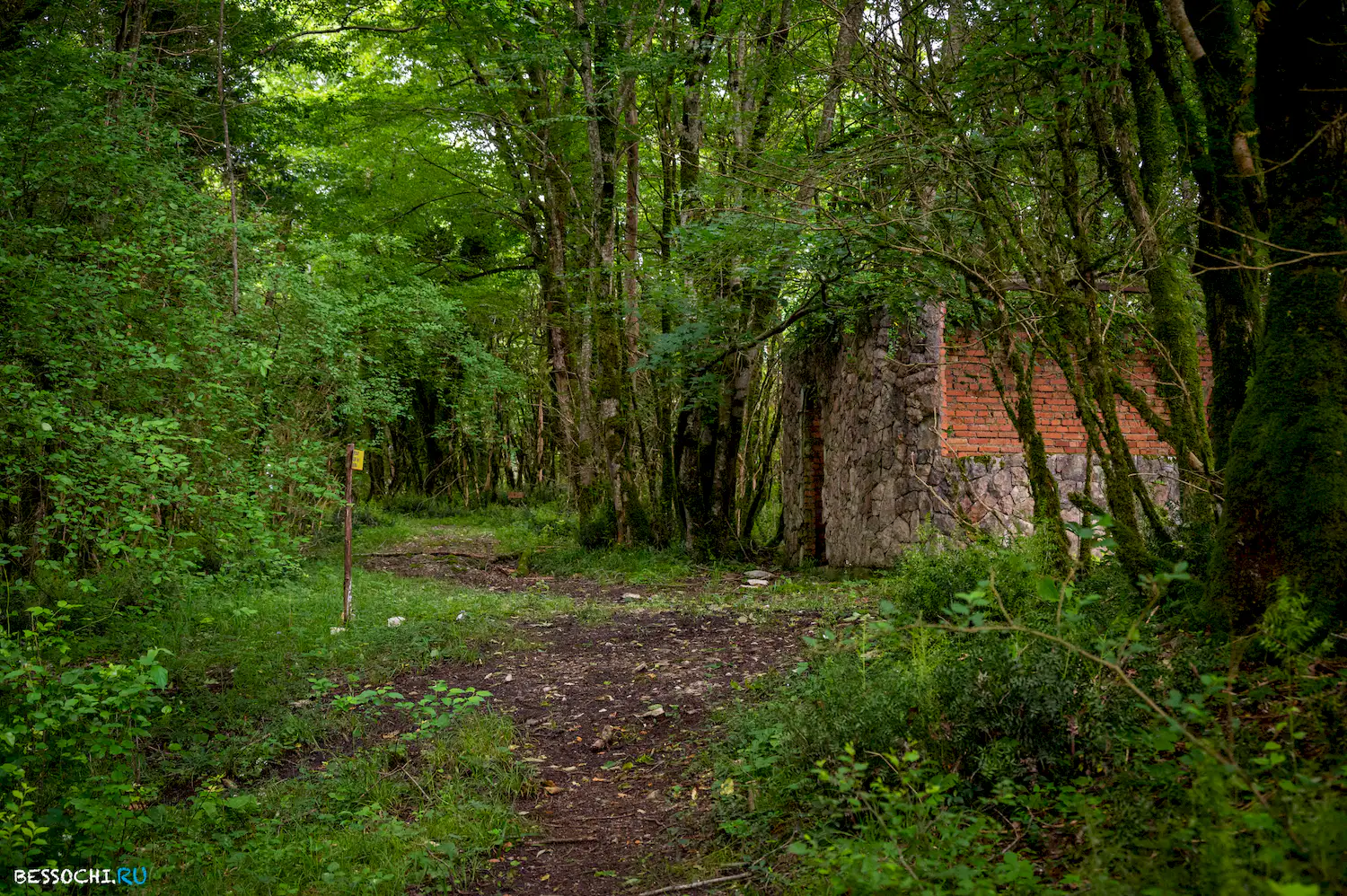 Хостинский карьер