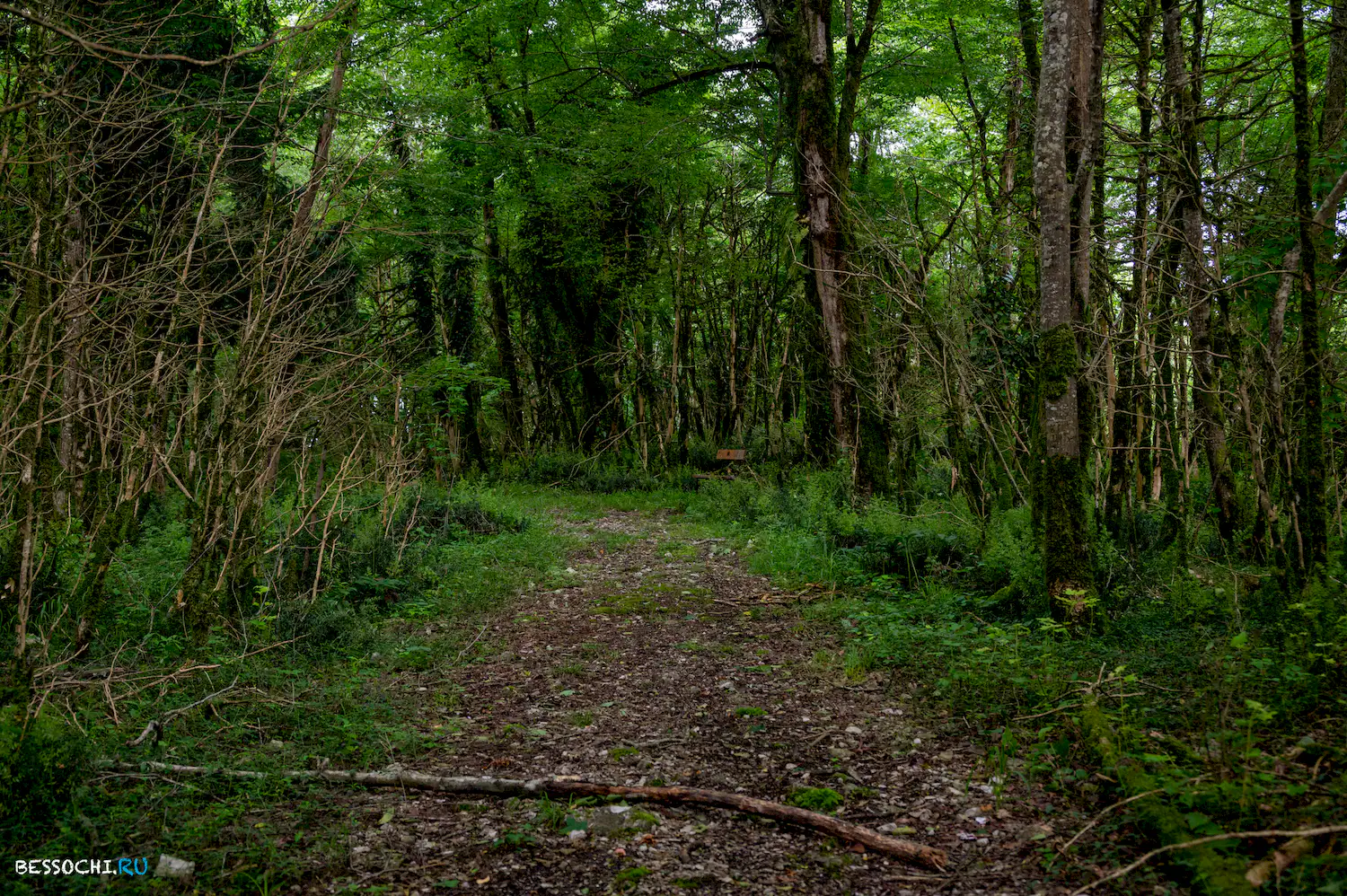 Хостинский карьер