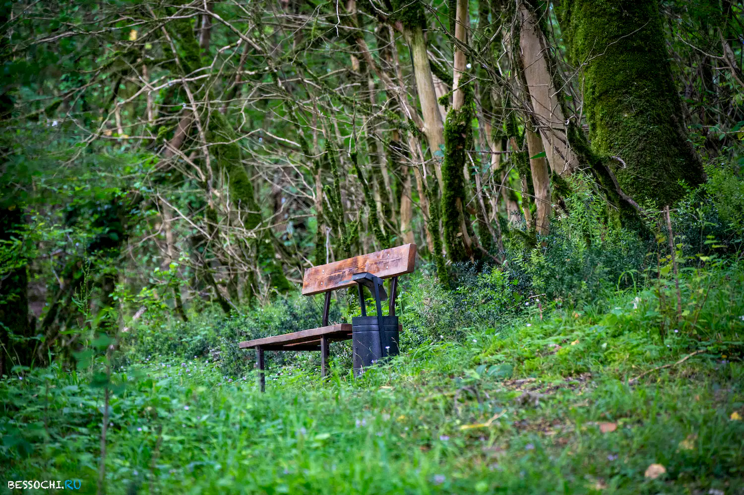 Хостинский карьер