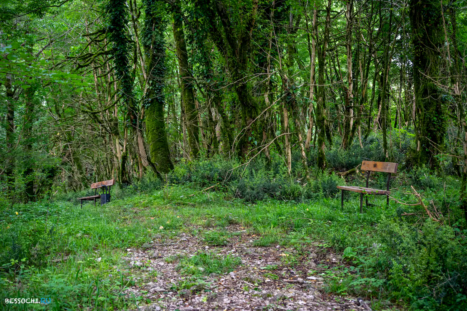 Хостинский карьер