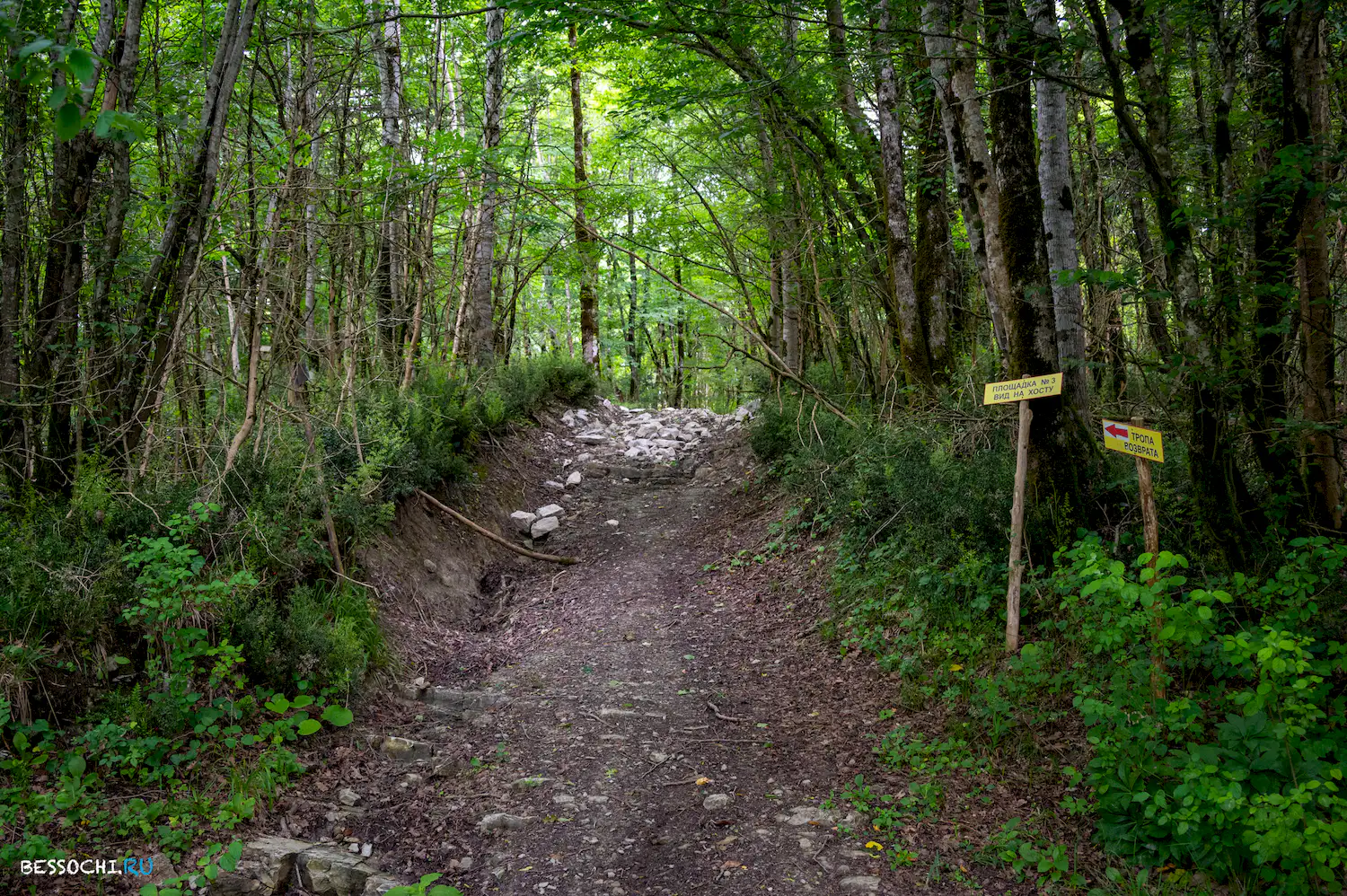 Хостинский карьер