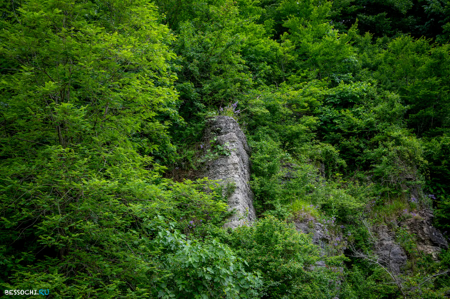 Хостинский карьер