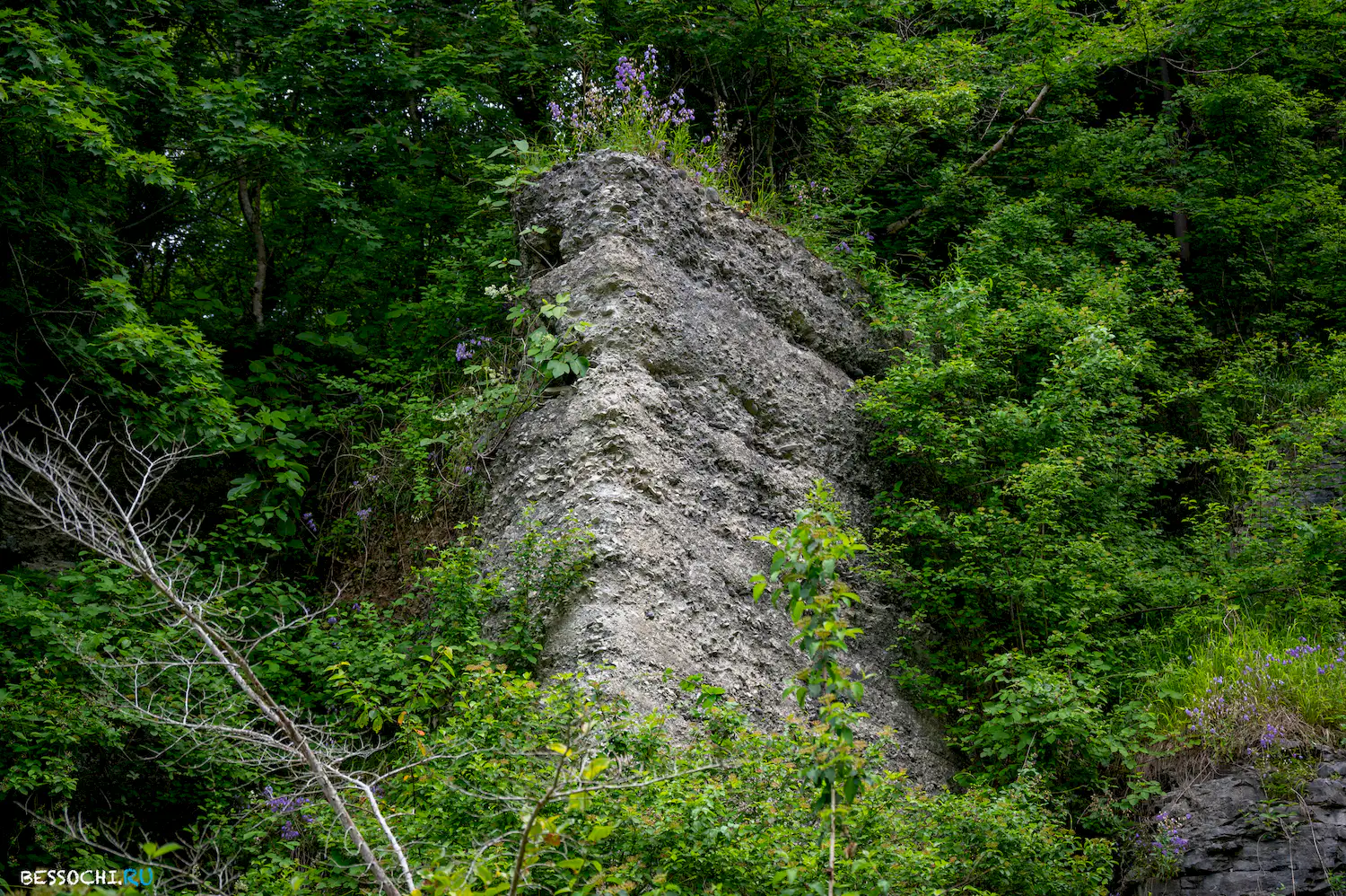 Хостинский карьер