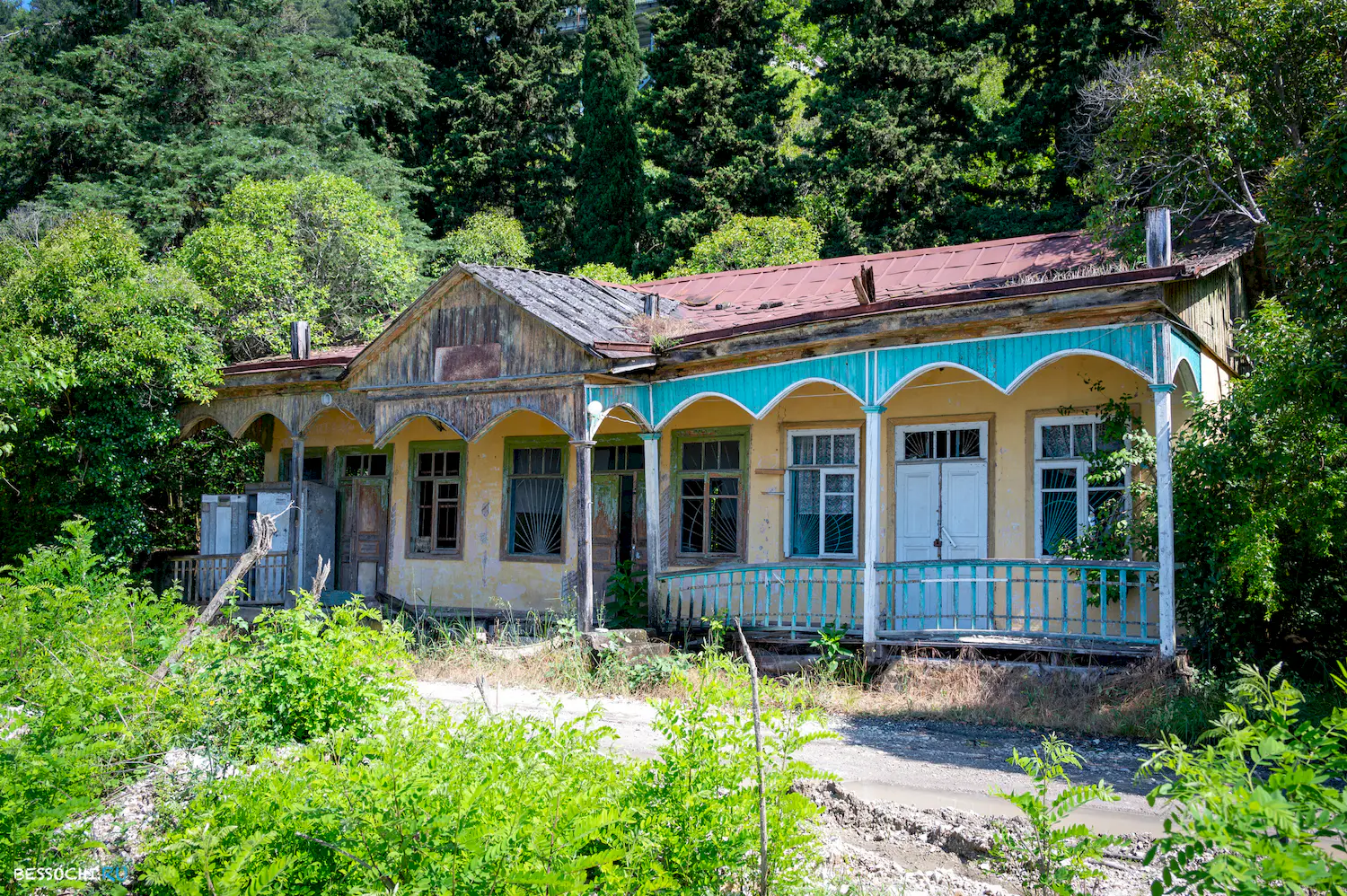 Ласточка Абхазия