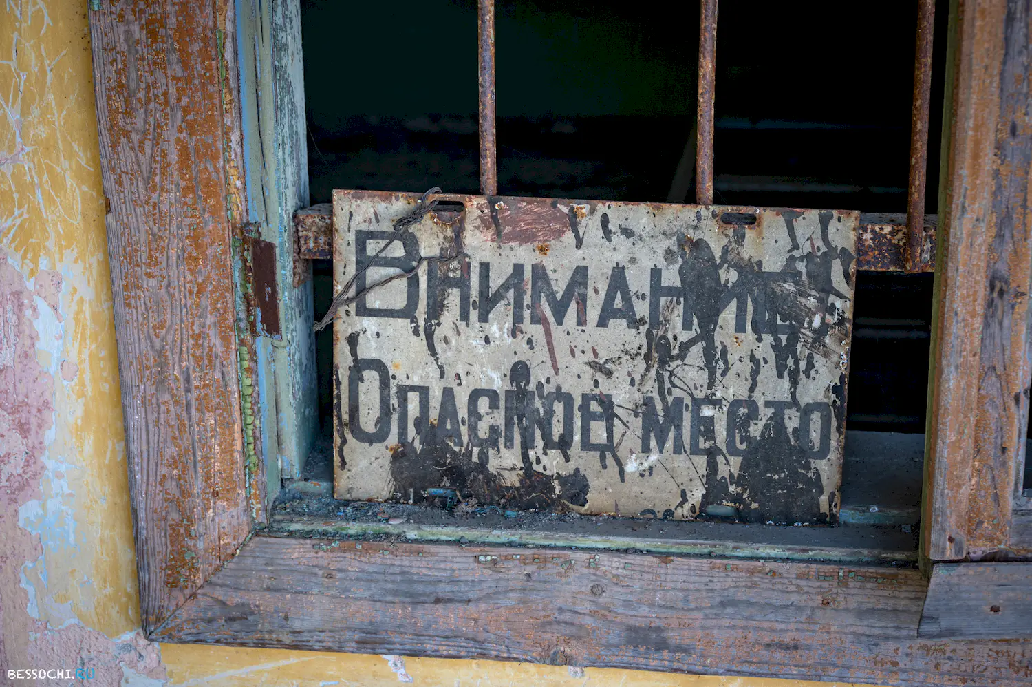 Ласточка Абхазия