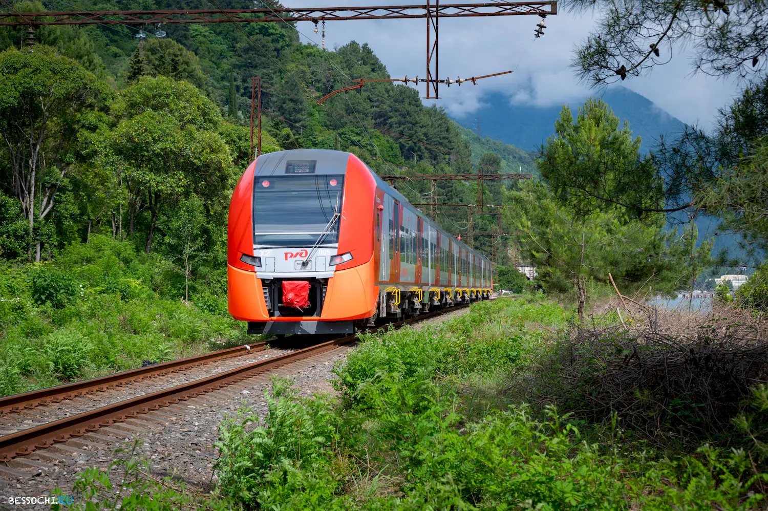 Ласточка Абхазия