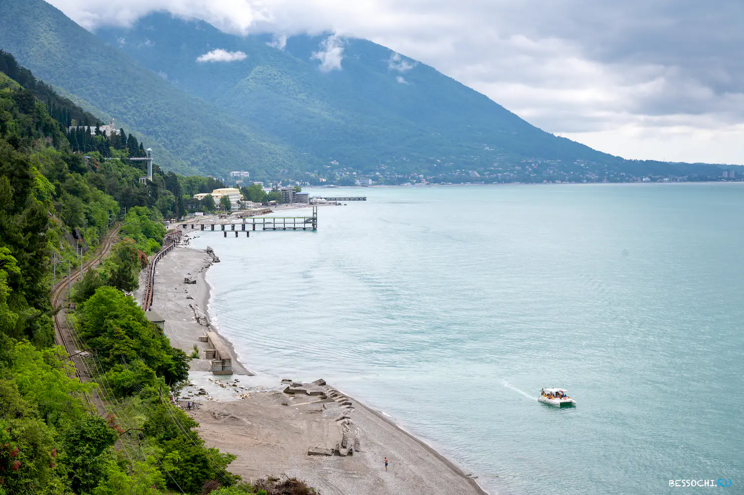 Ласточка Абхазия