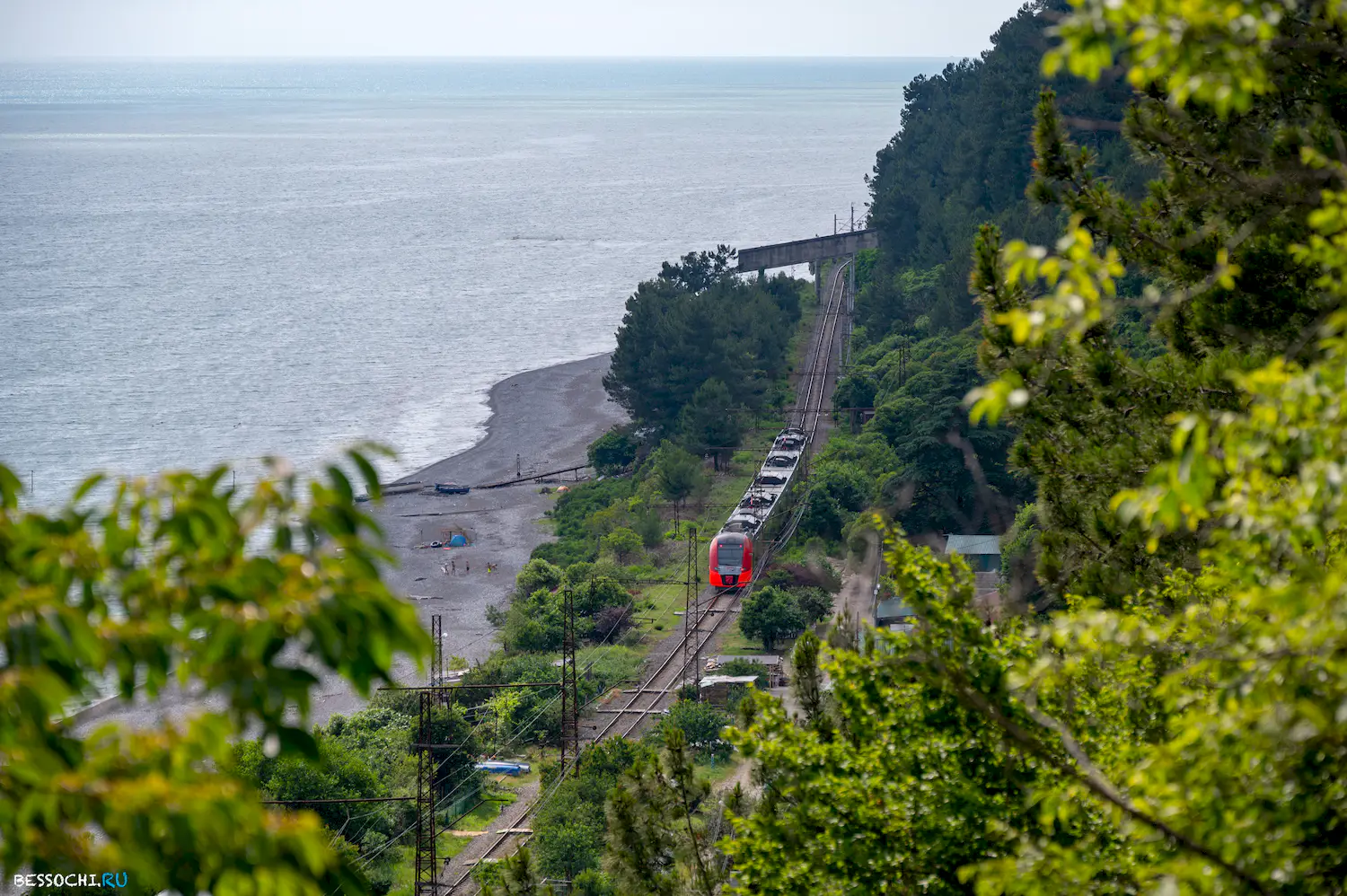 Ласточка Абхазия