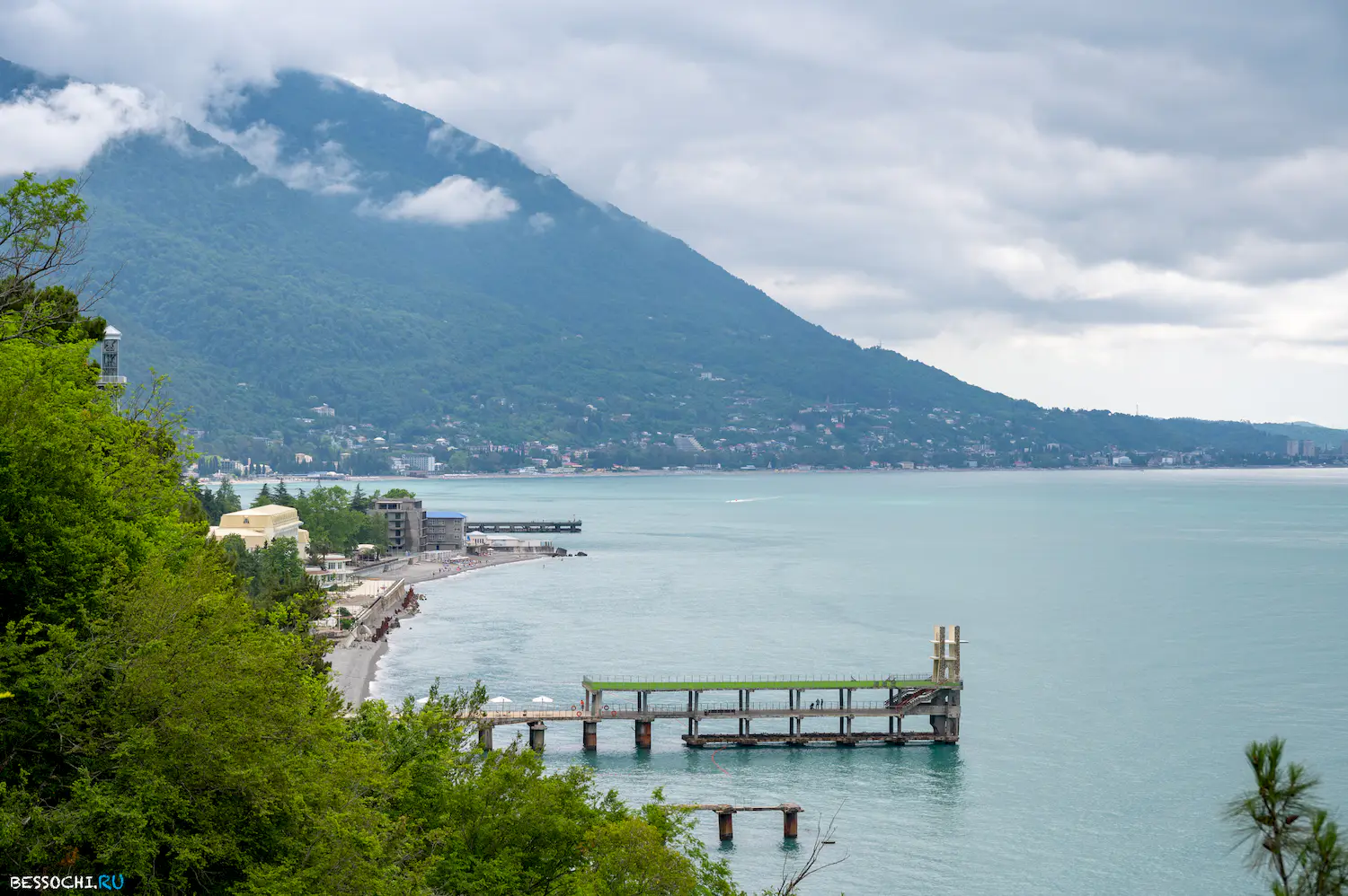 Ласточка Абхазия