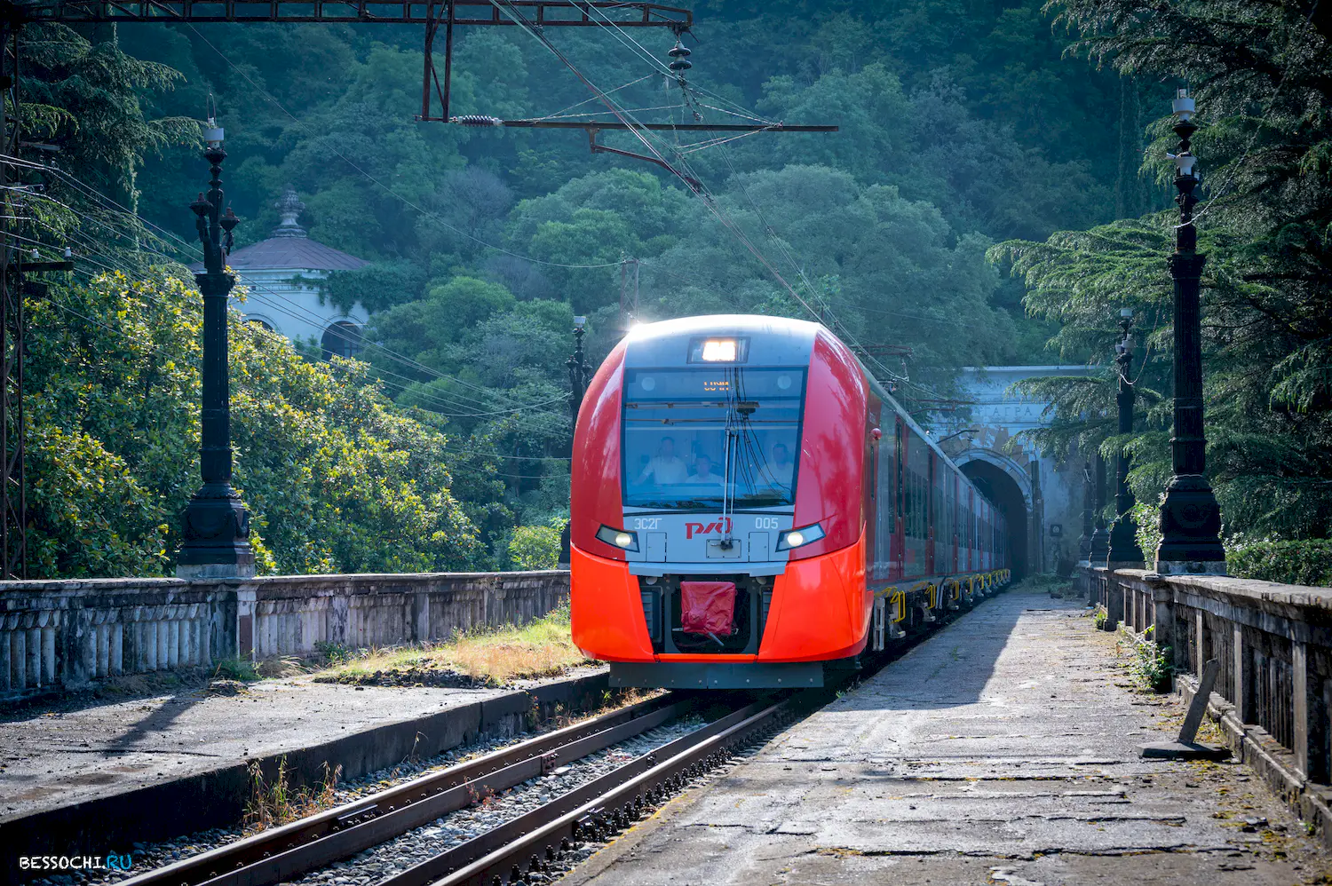 Ласточка Абхазия