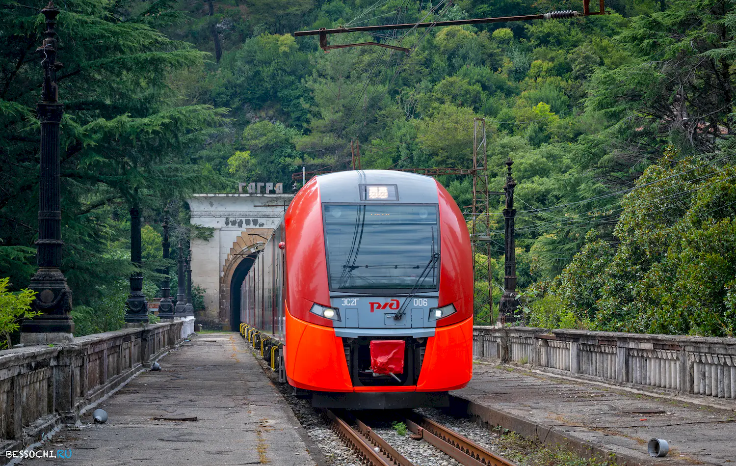 Ласточка Абхазия