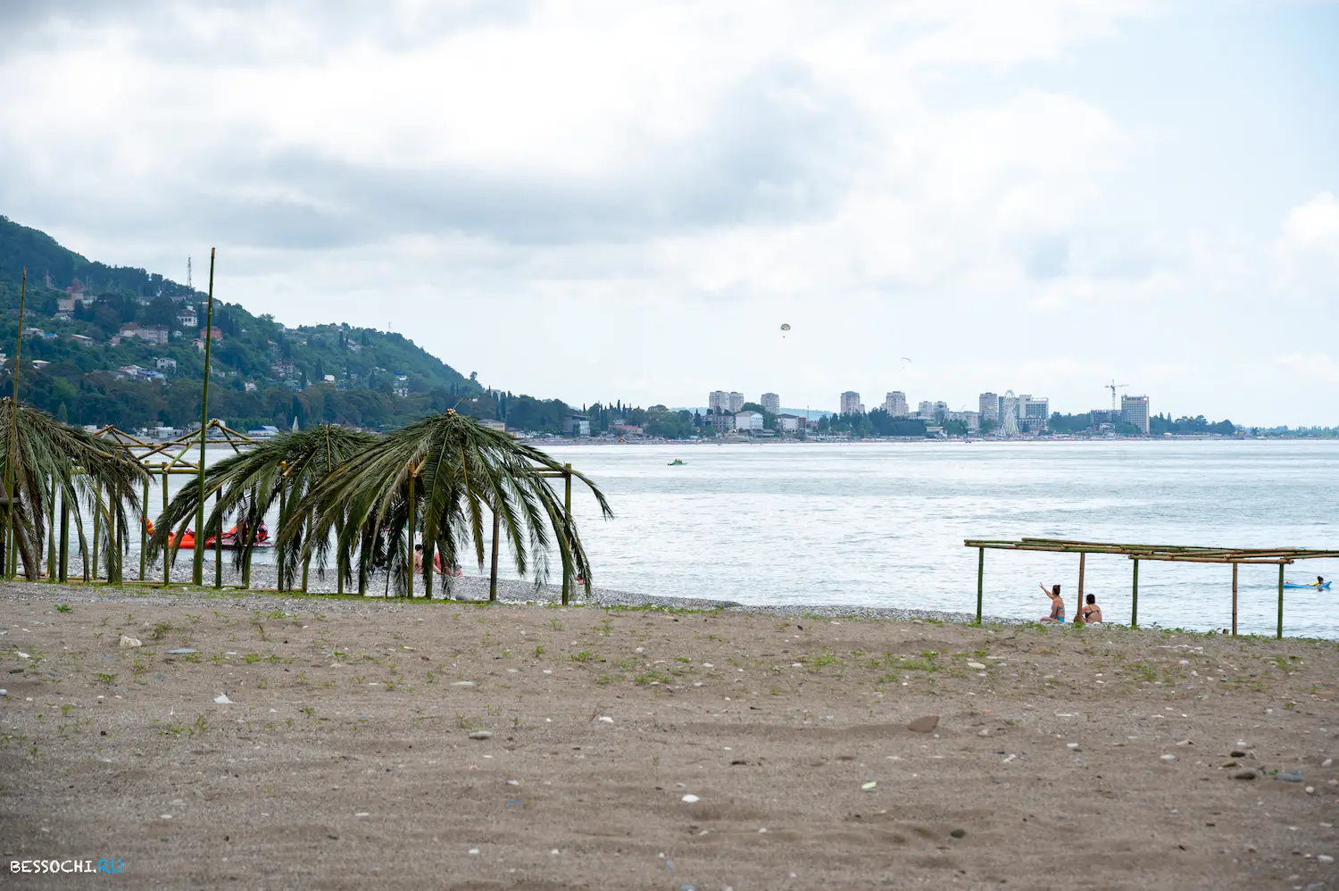 Ласточка Абхазия