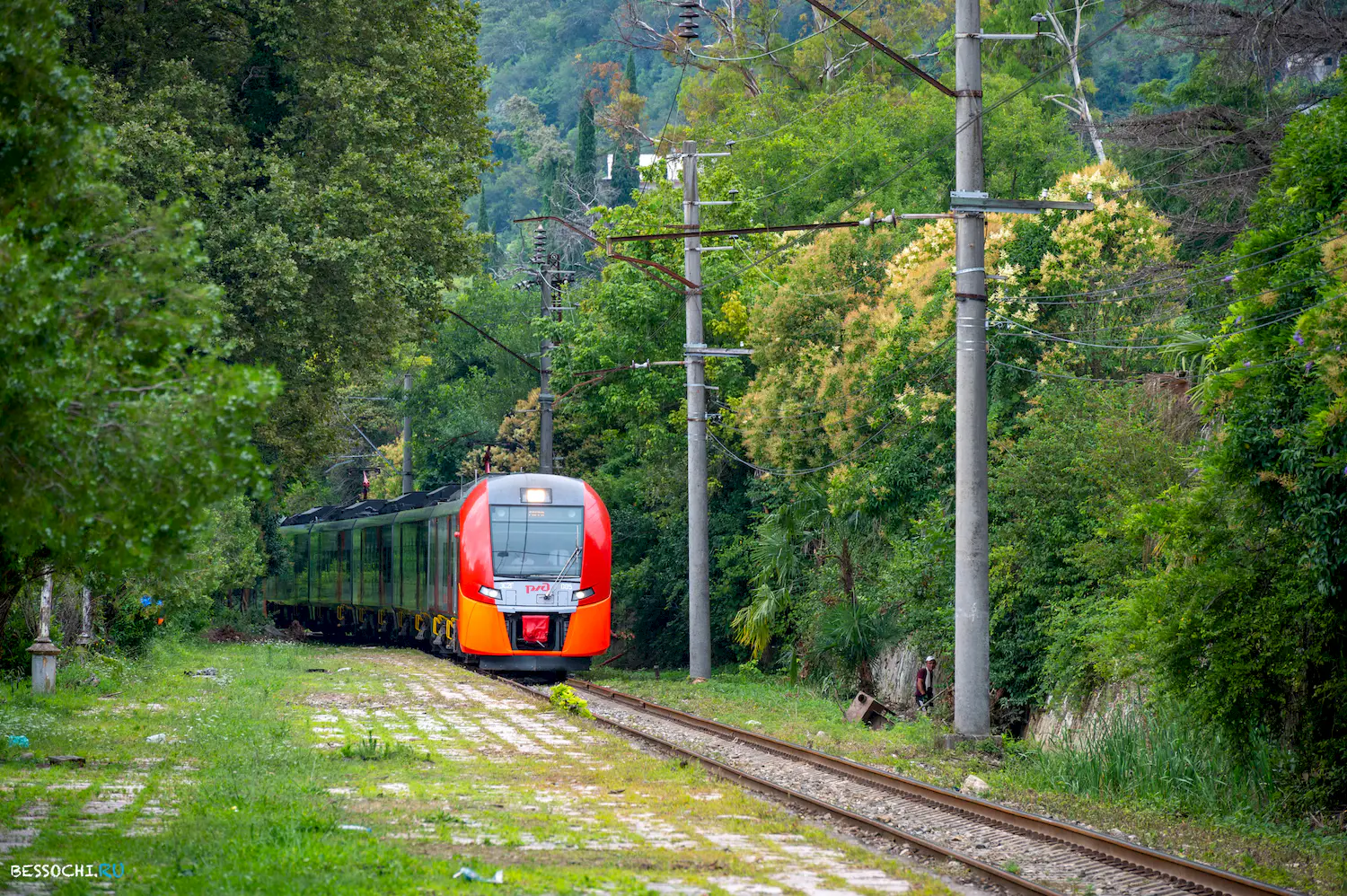 Ласточка Абхазия