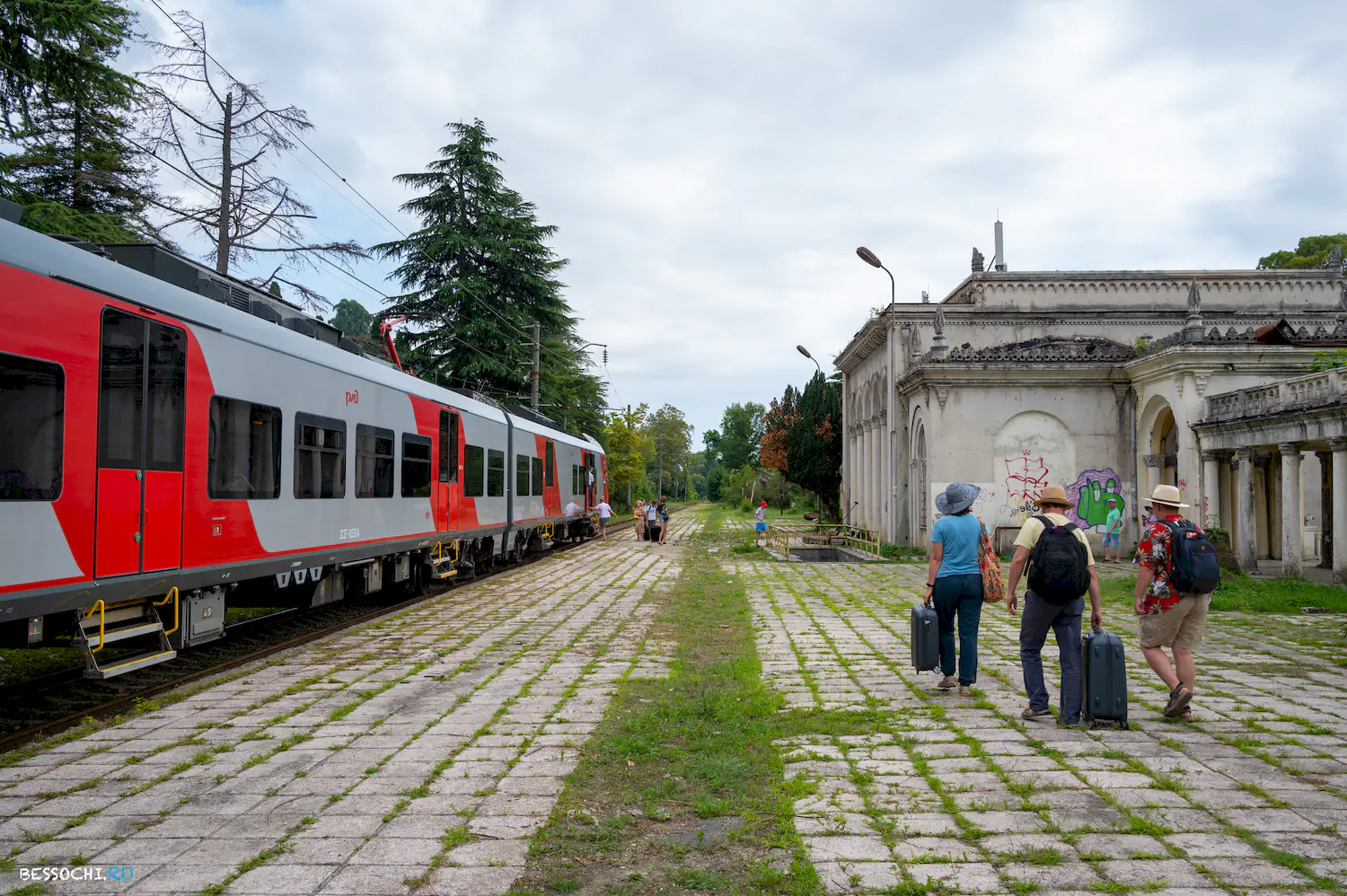 Ласточка Абхазия
