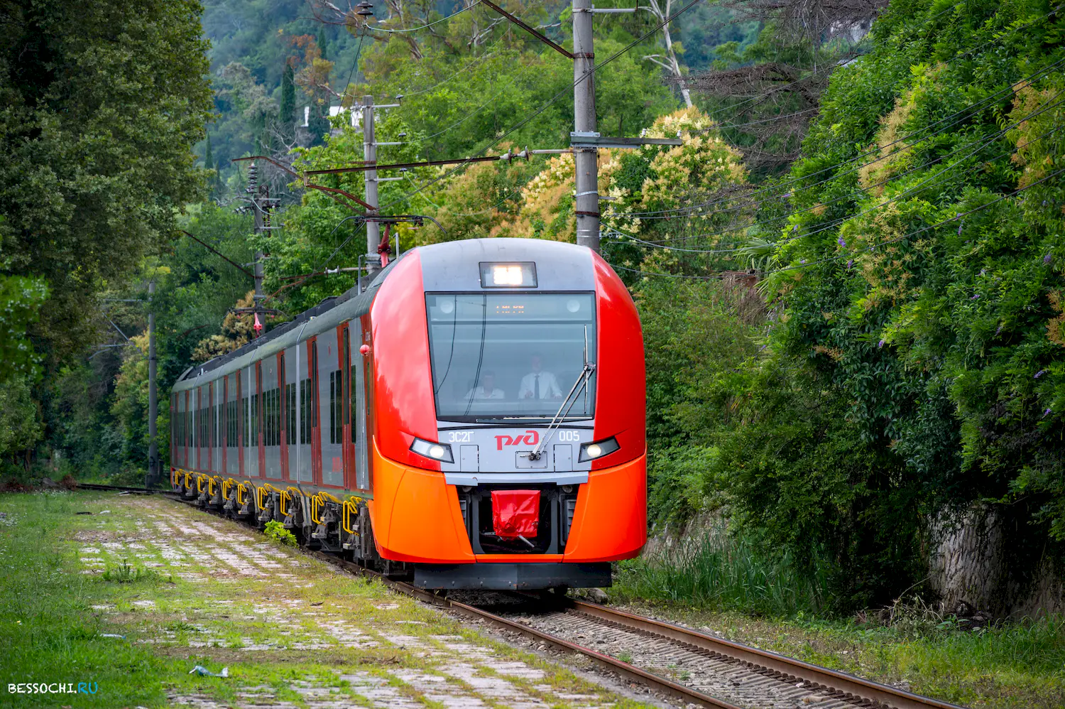 Ласточка Абхазия