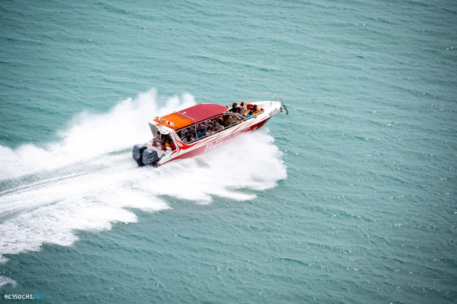 Ласточка Абхазия