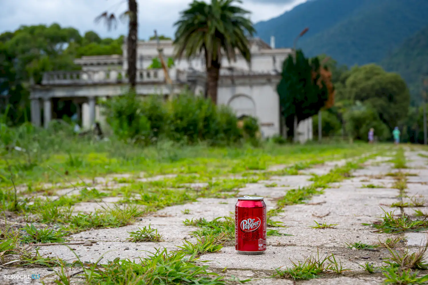 Ласточка Абхазия