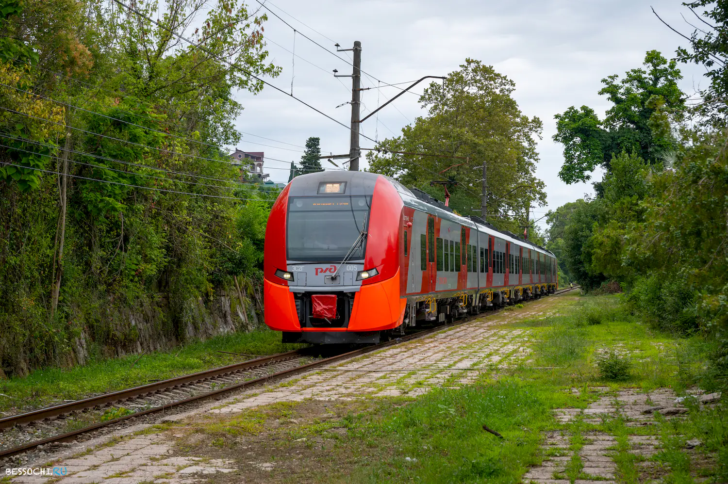 Ласточка Абхазия