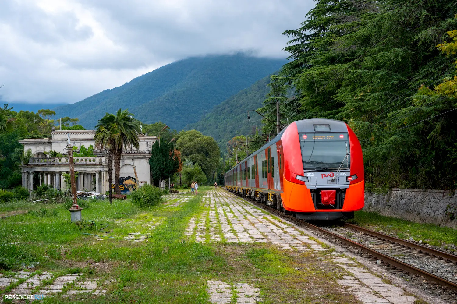 Ласточка Абхазия