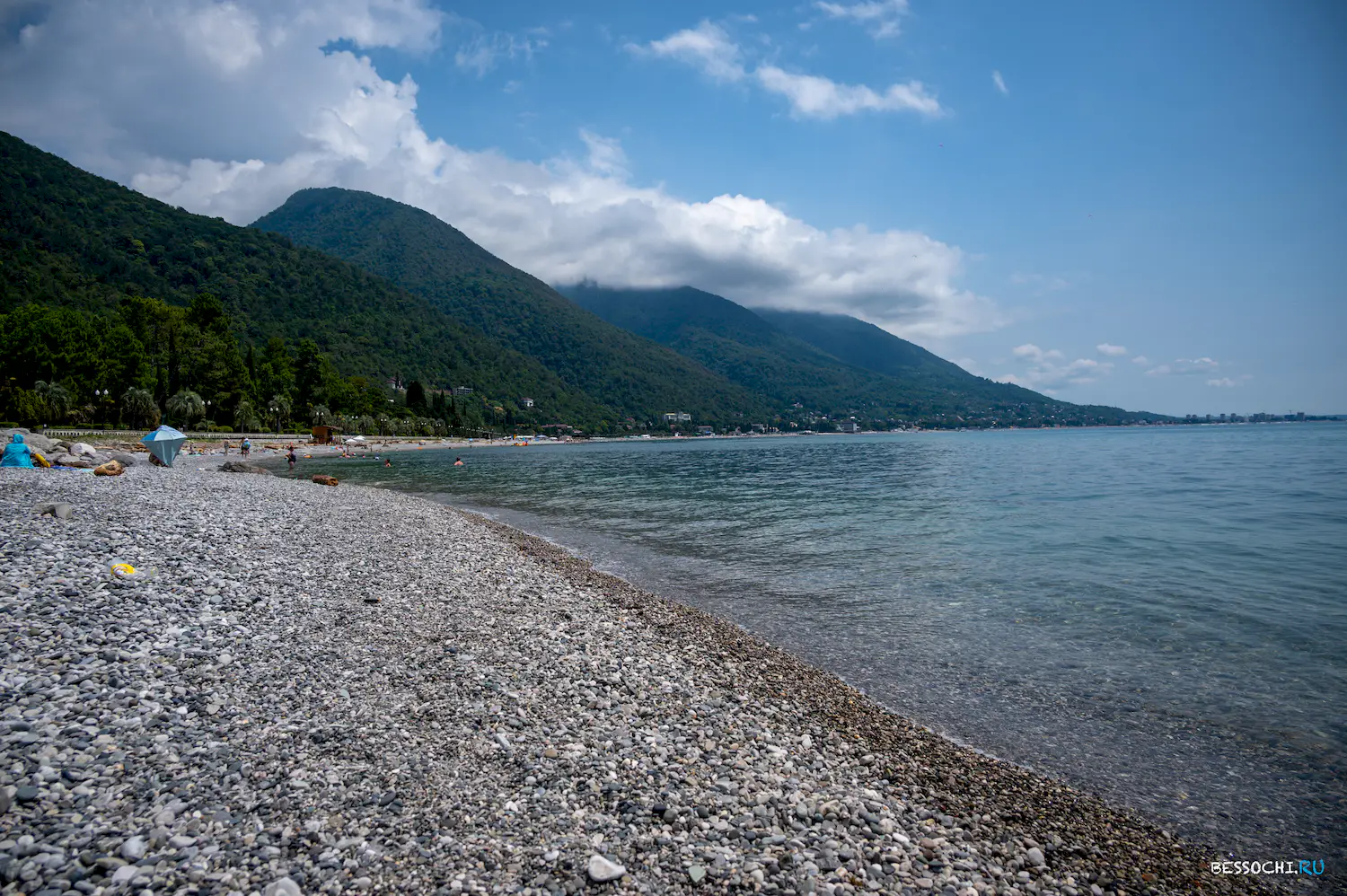 Ласточка Абхазия