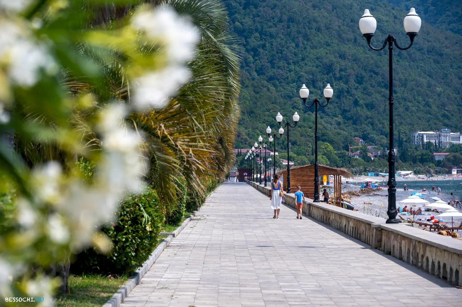 Ласточка Абхазия