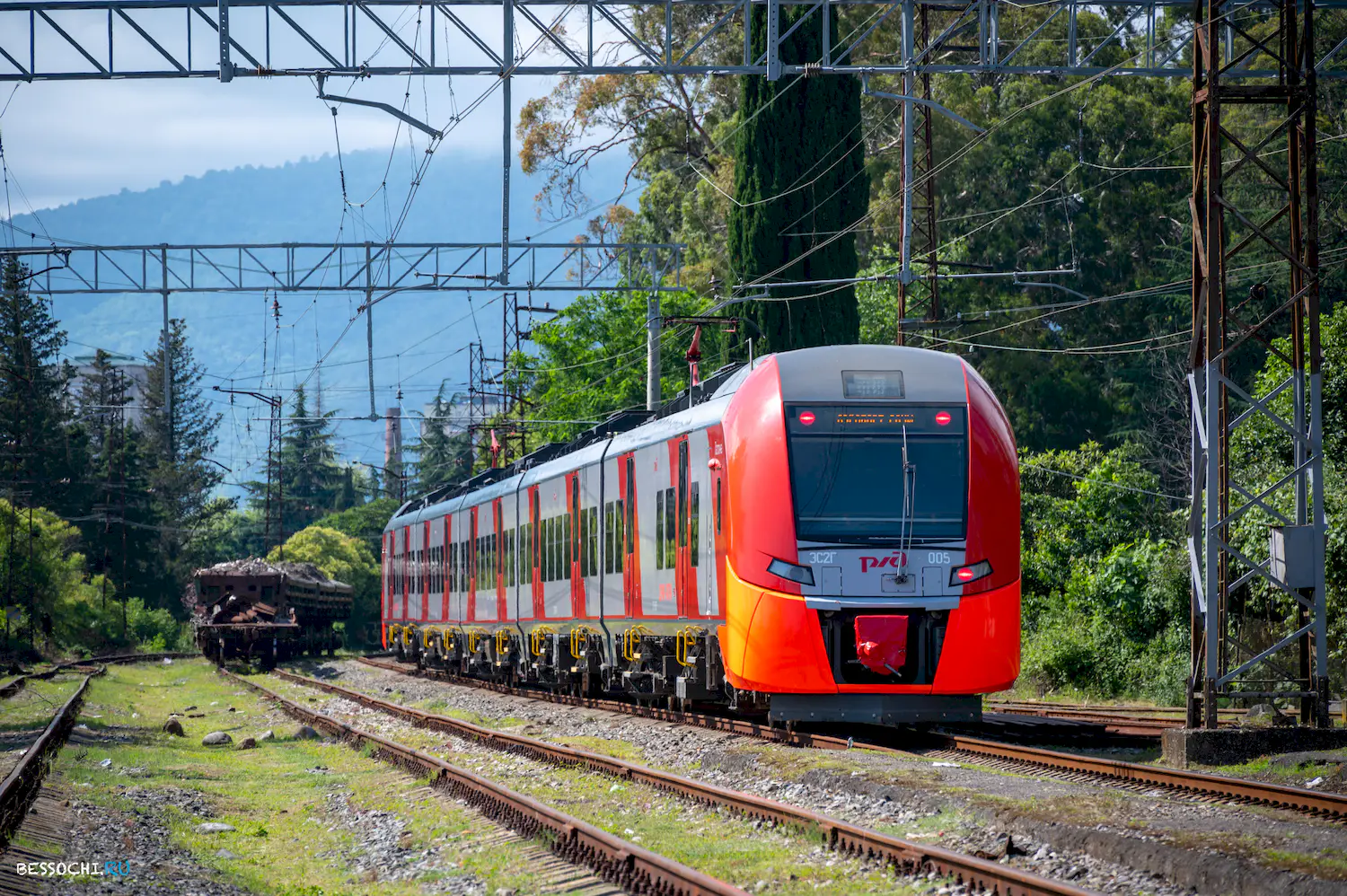 Ласточка Абхазия