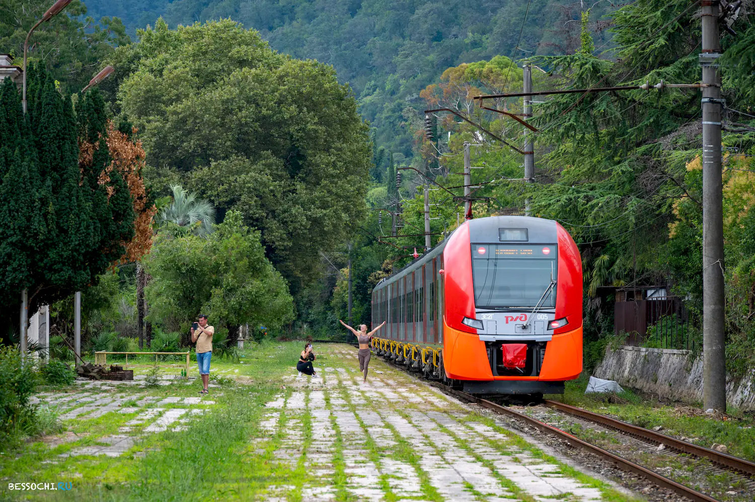 Ласточка Абхазия